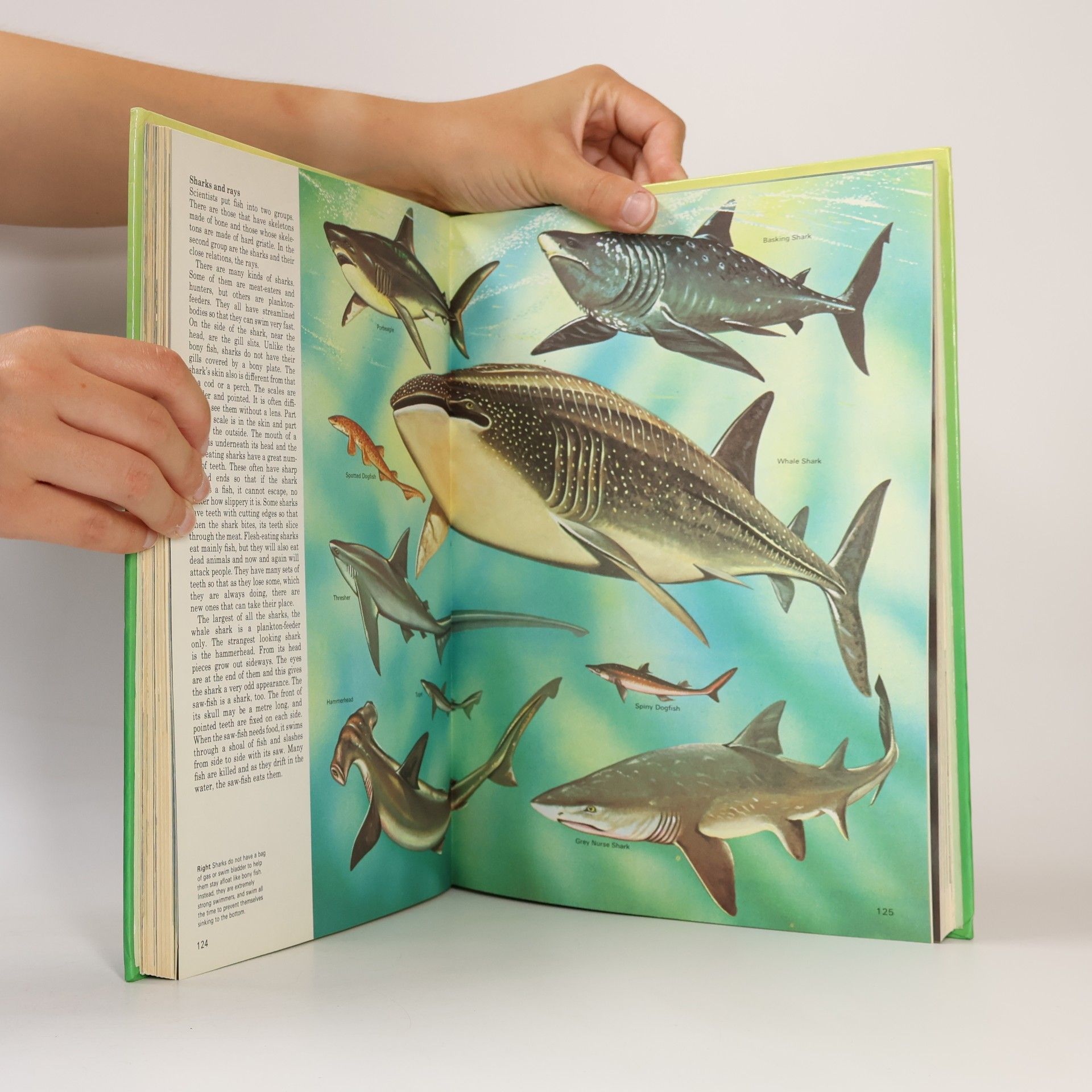 Leonard Moore Junior Encyclopaedia of Nature