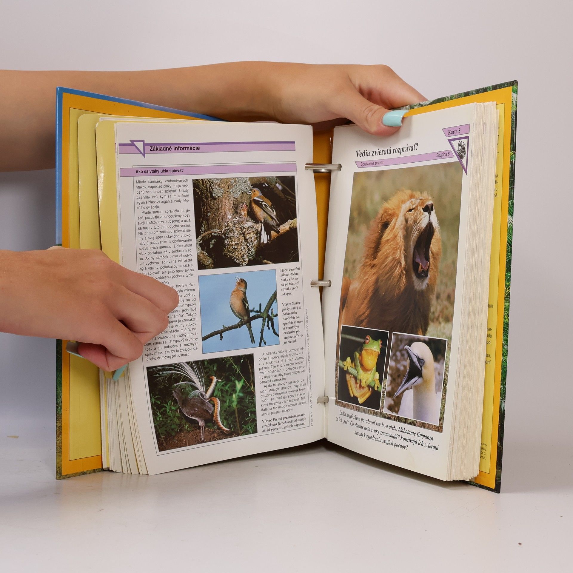 Auteurscollectief Encyklopedie zvířat