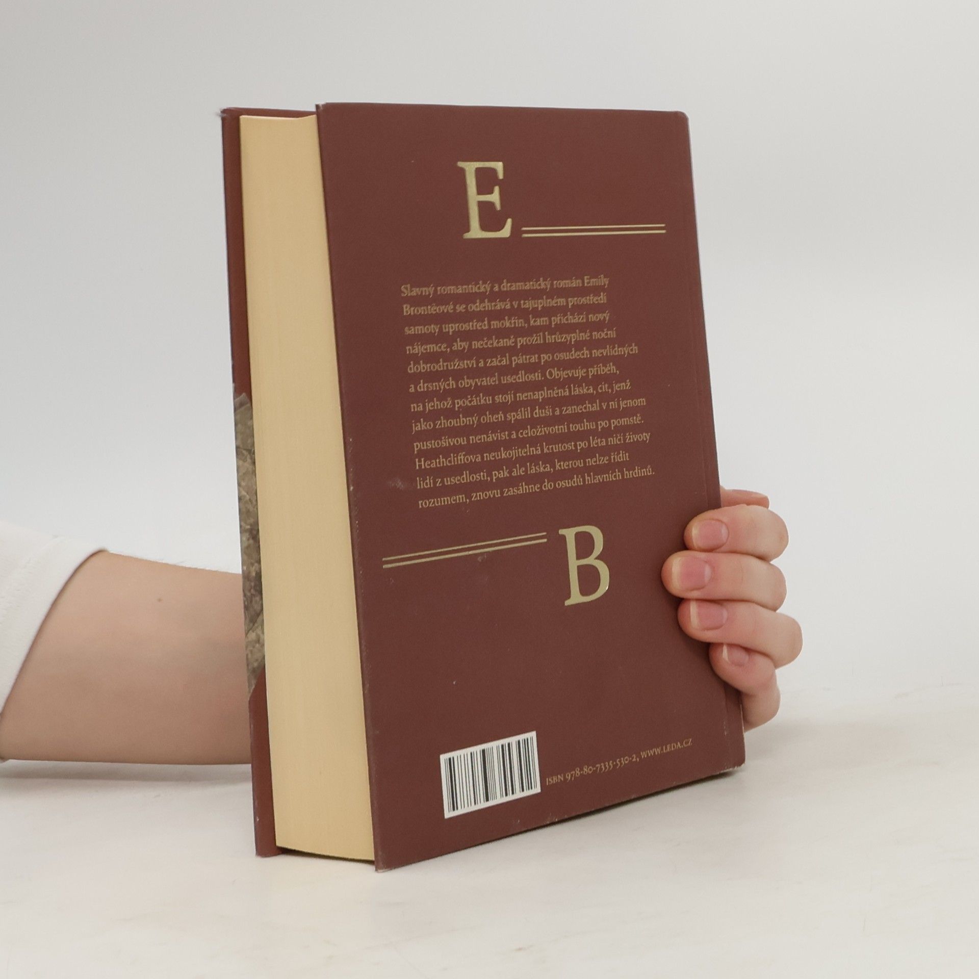 Emily Brontë Na Větrné hůrce