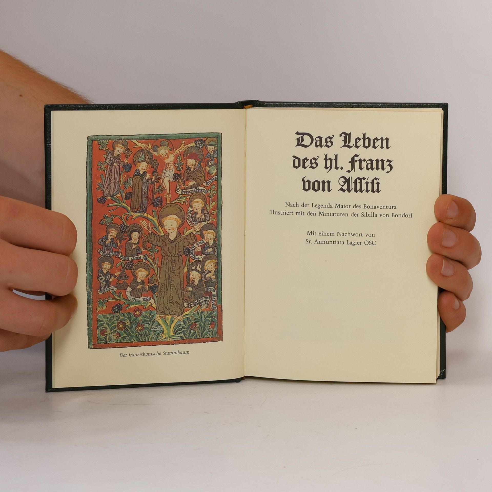 kolektiv Das Leben des hl. Franz von Assisi