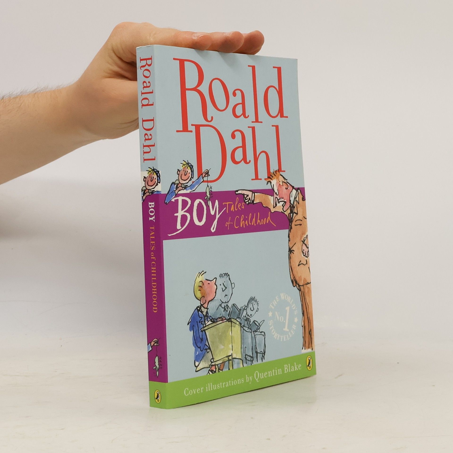 Roald Dahl Boy: Tales of Childhood