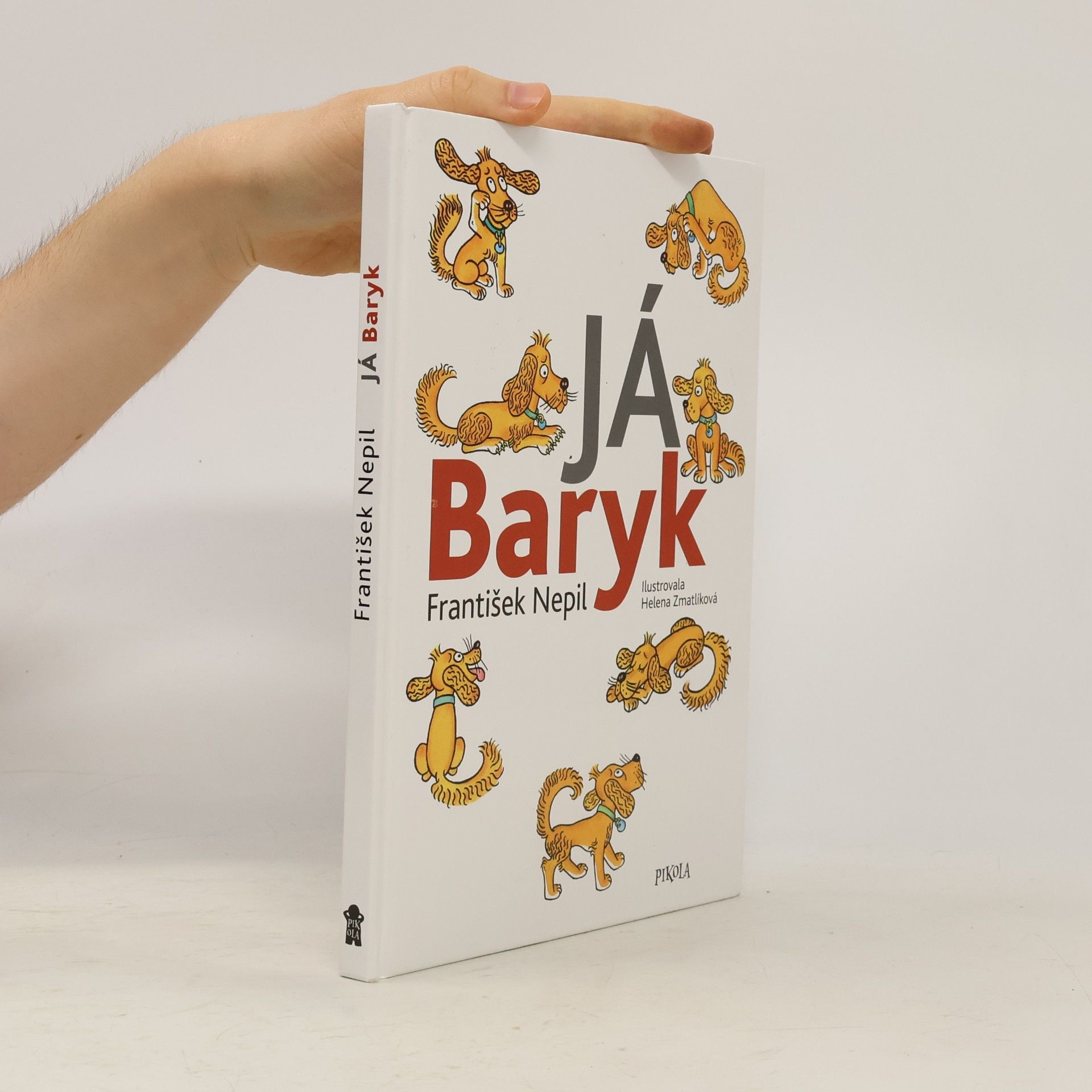 František Nepil Já, Baryk
