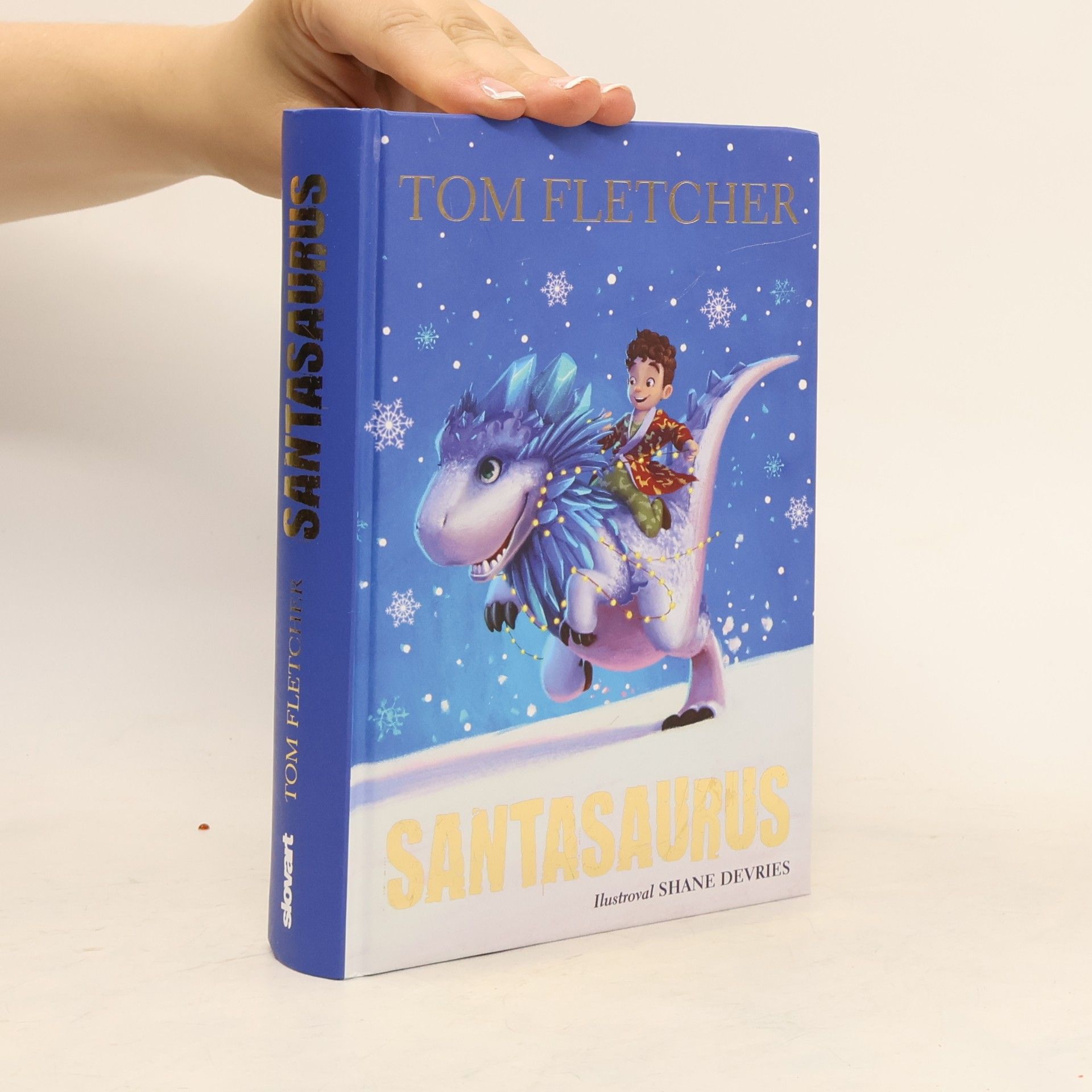 Tom Fletcher Santasaurus