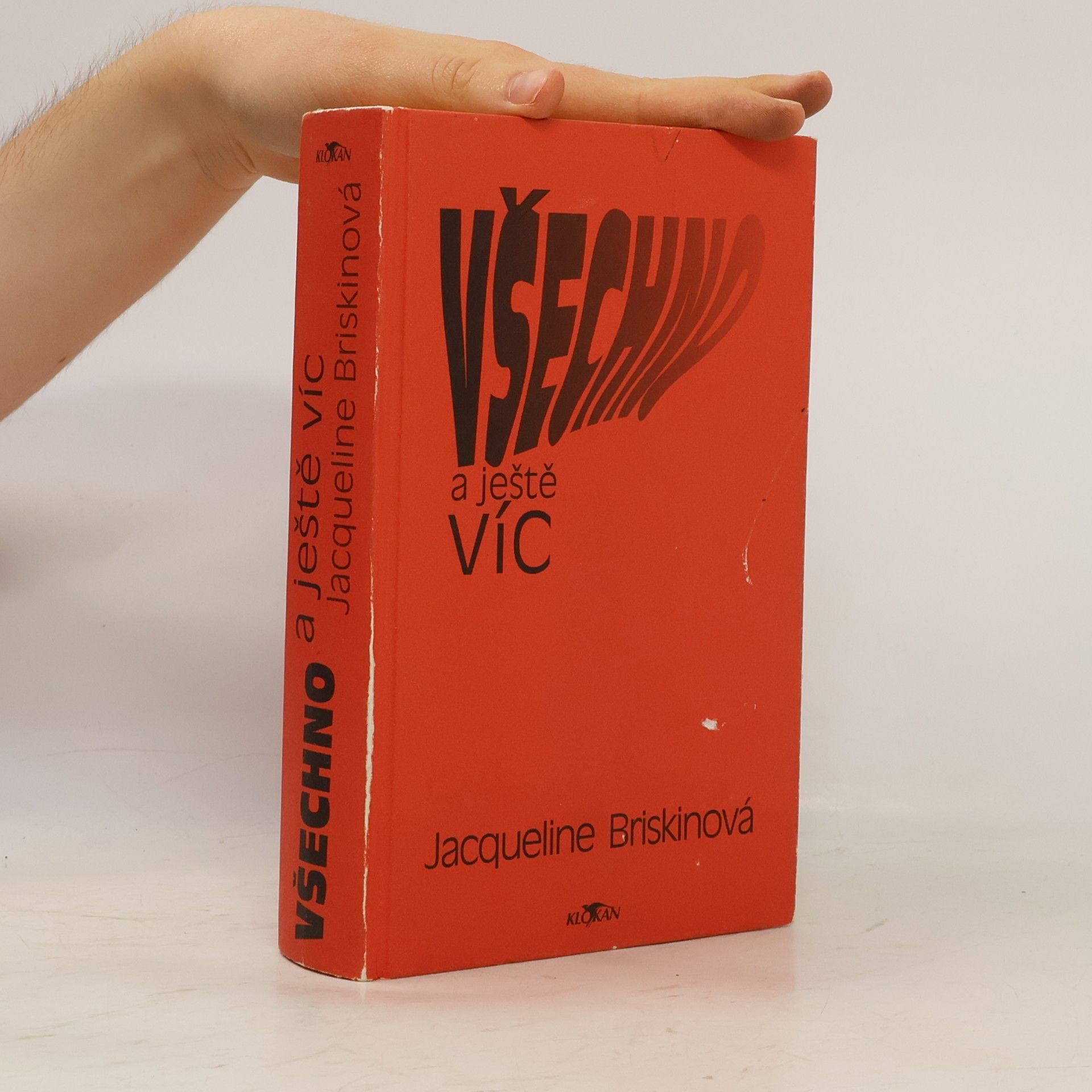 Jacqueline Briskin Všechno a ještě víc