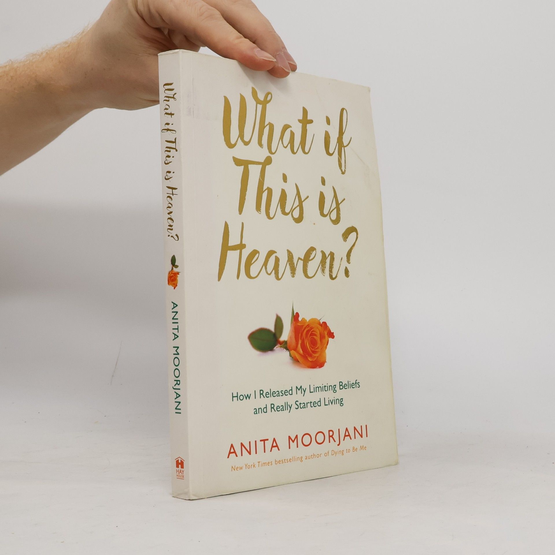 Anita Moorjani What if This is Heaven?