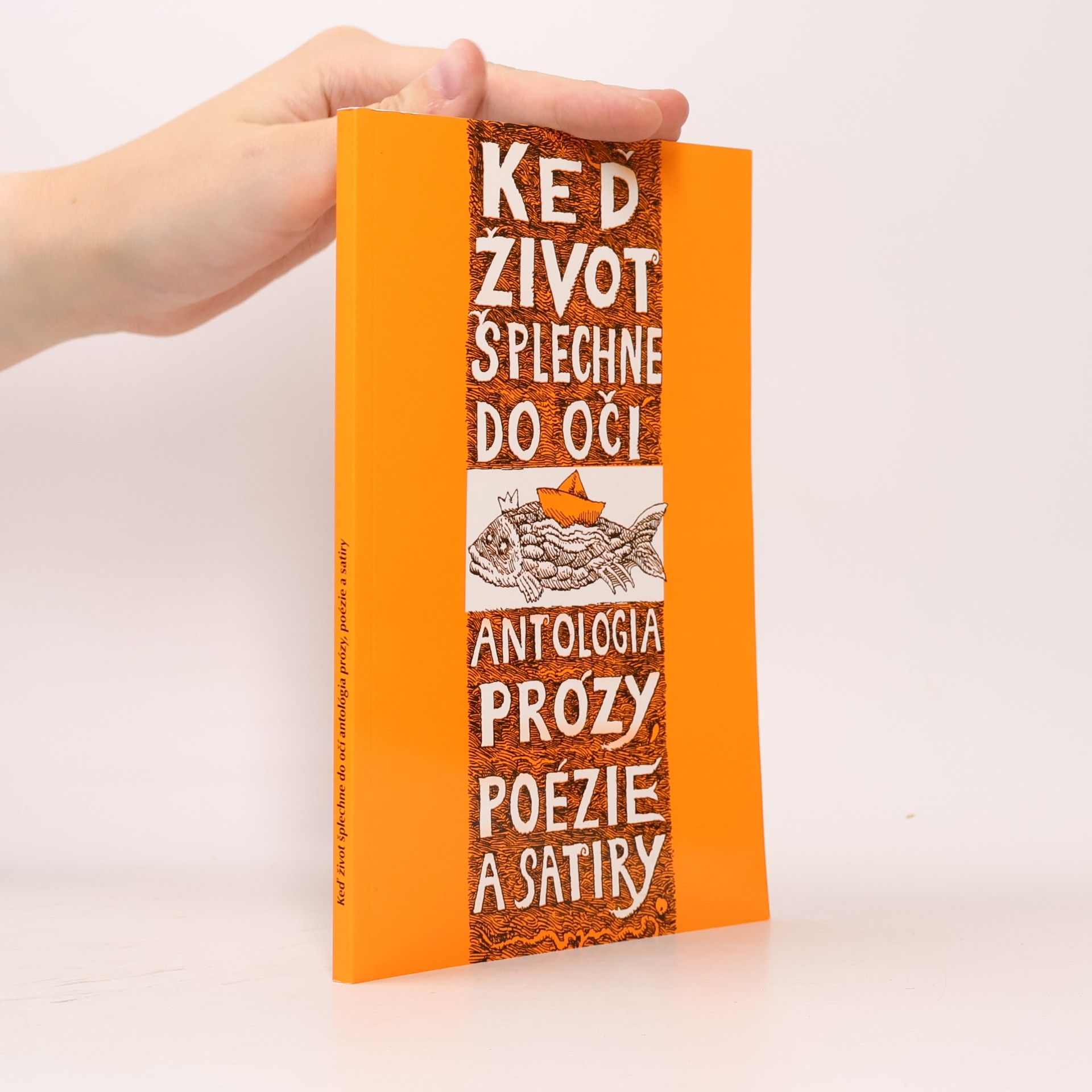 Autorenkollektiv Keď život šplechne do očí