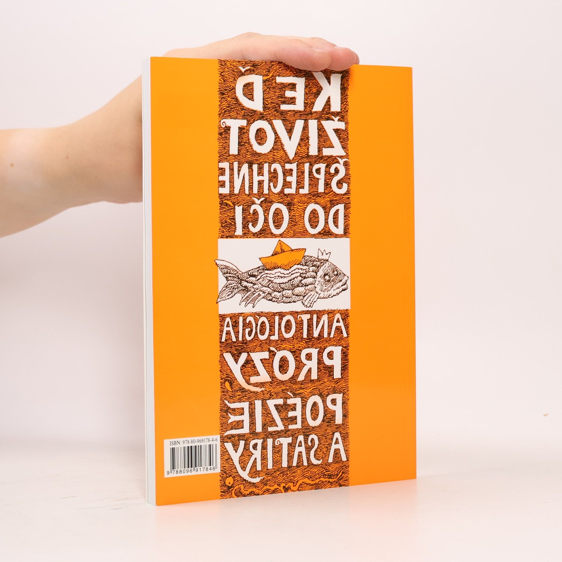 Autorenkollektiv Keď život šplechne do očí