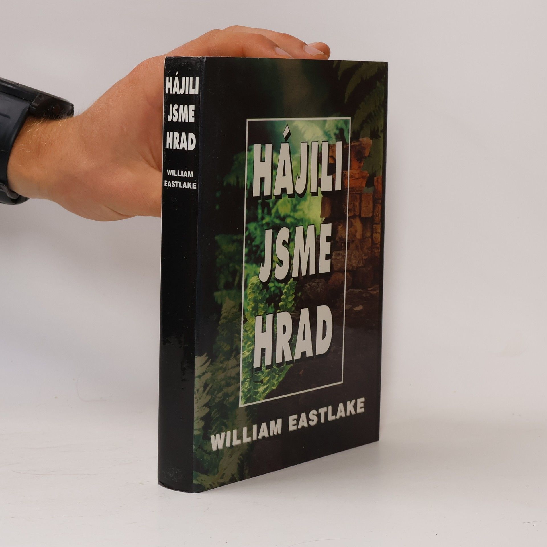 William Eastlake Hájili jsme hrad