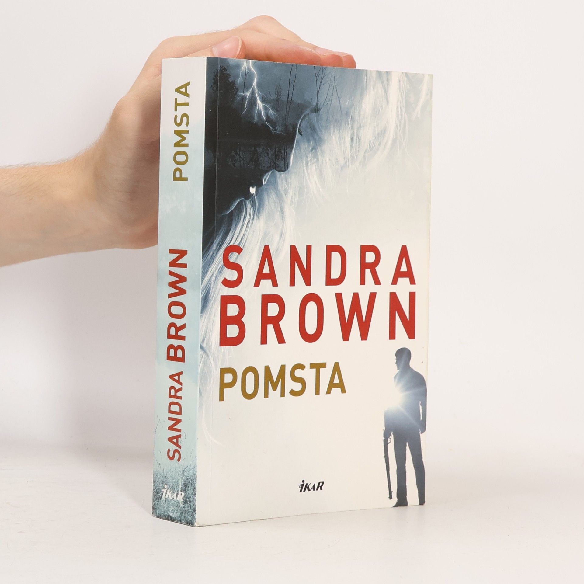 Sandra Brown Pomsta