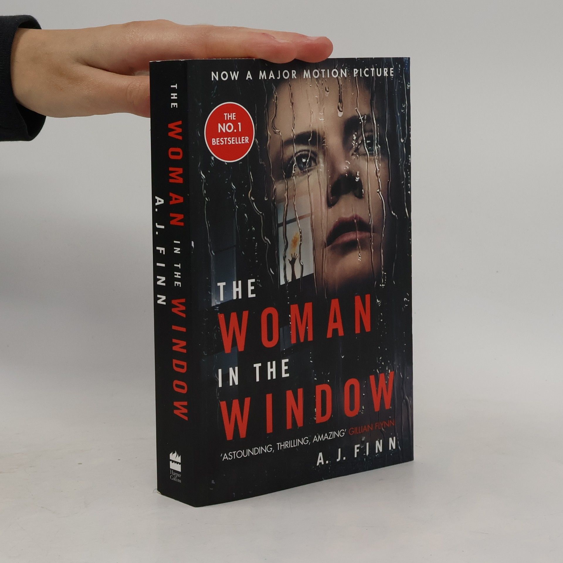 Daniel Mallory Woman in the window