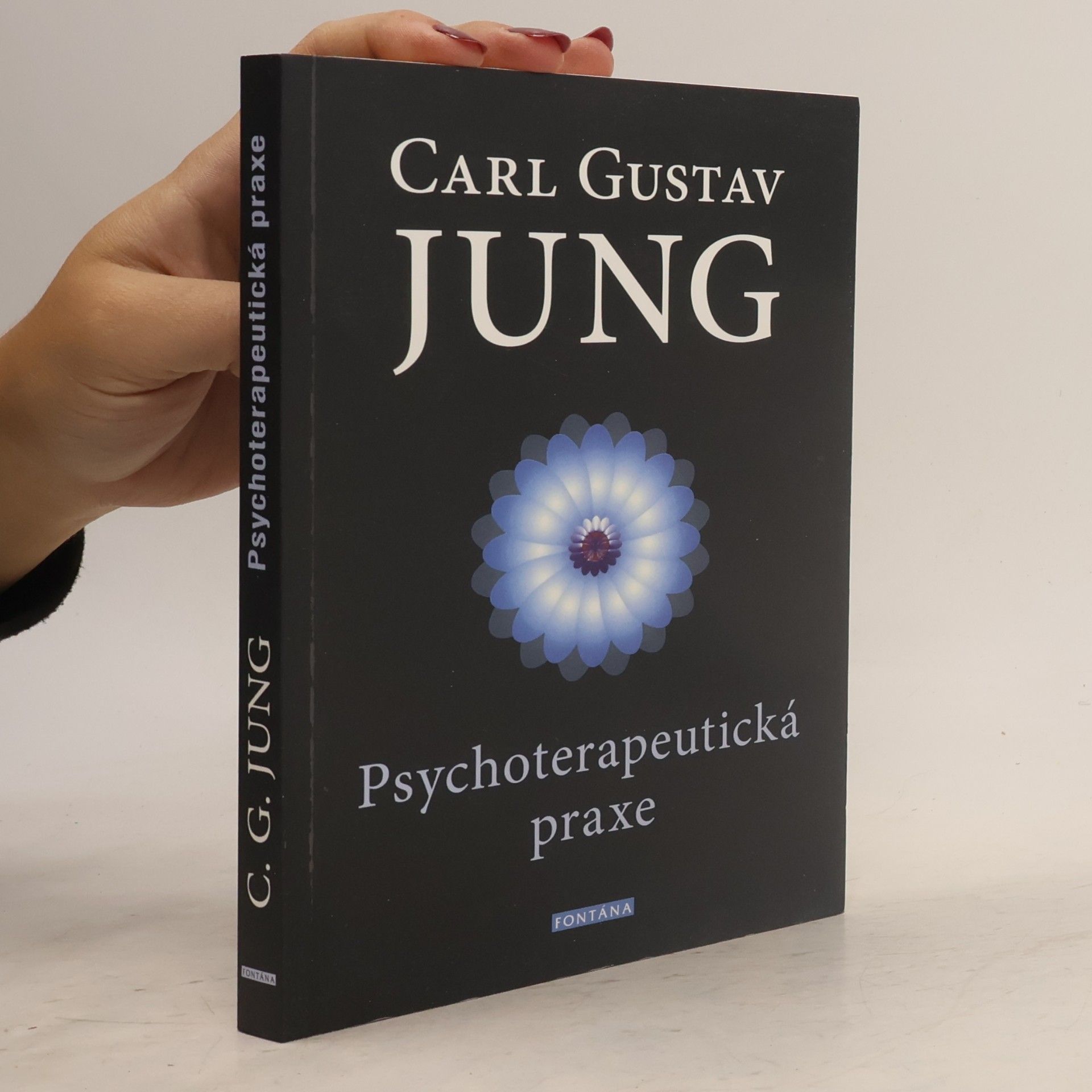 Carl Gustav Jung Psychoterapeutická praxe : příspěvky k problému psychoterapie a psychologie přenosu