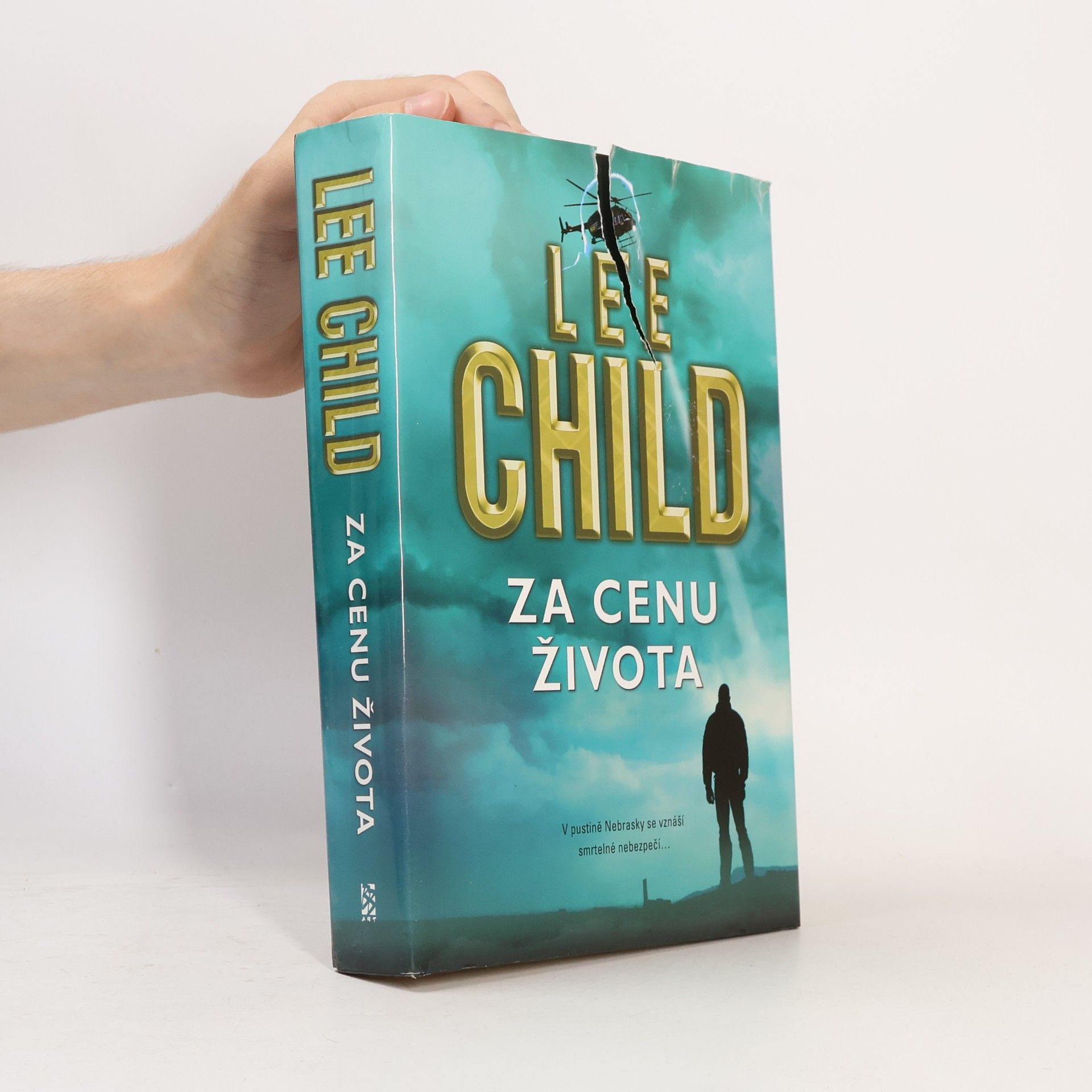 Lee Child Za cenu života