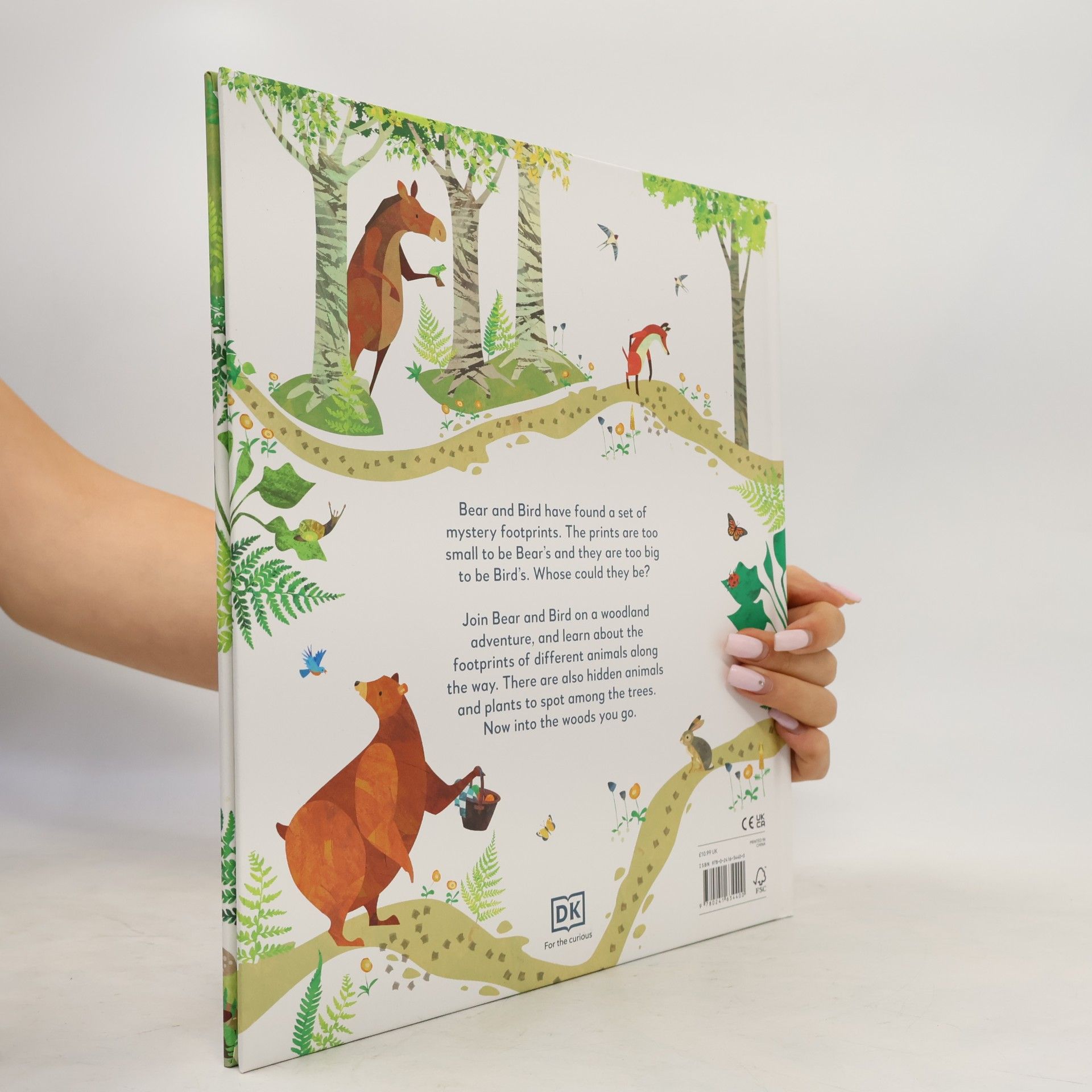 Johny Lambert Jonny Lambert's Bear and Bird: Find a Footprint