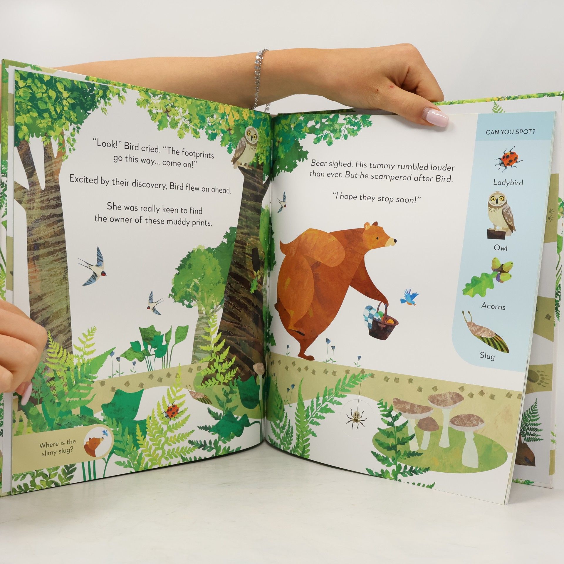Johny Lambert Jonny Lambert's Bear and Bird: Find a Footprint