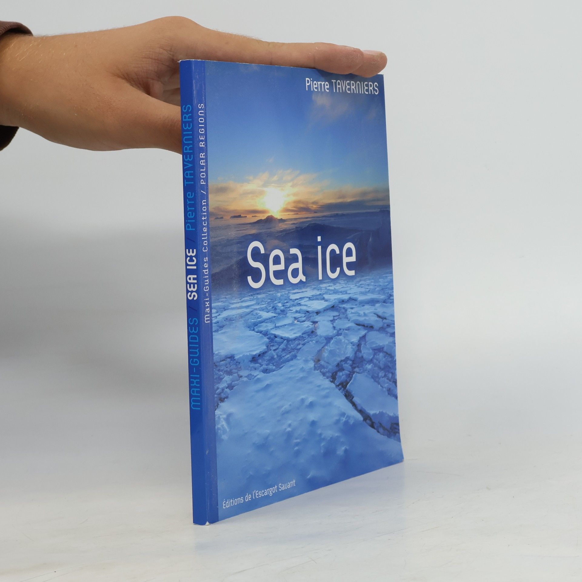 Pierre Taverniers Sea Ice