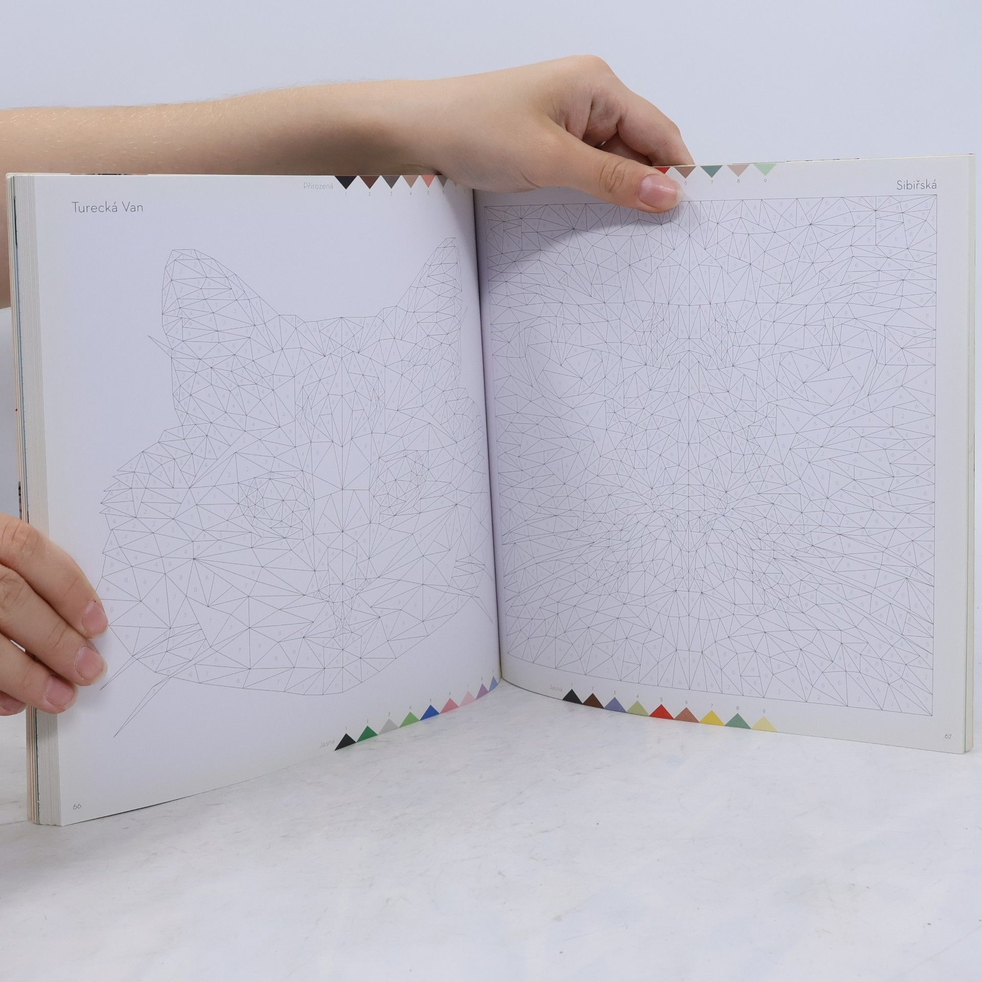 Çetin Can Karaduman Vybarvi mě - kočky: Více než 60 mňoukajících geometrických ilustrací k vybarvení podle čísel