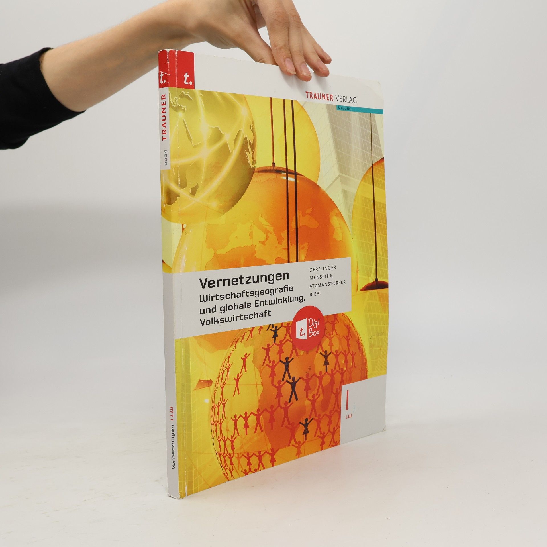 Vernetzungen - Wirtschaftsgeografie und globale Entwicklung, Volkswirtschaft I LW