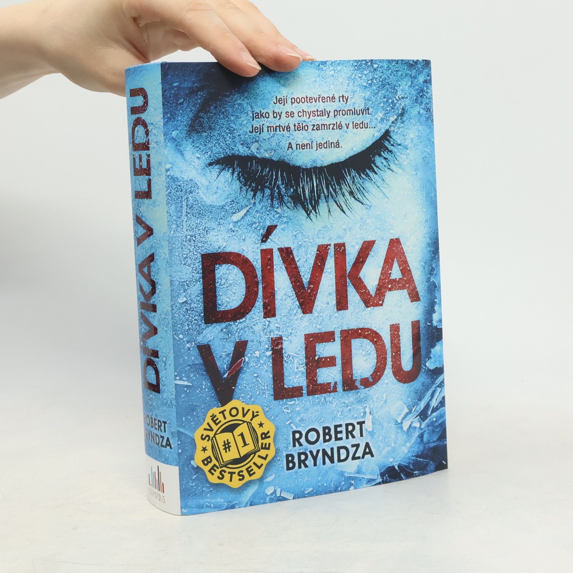 Robert Bryndza Dívka v ledu