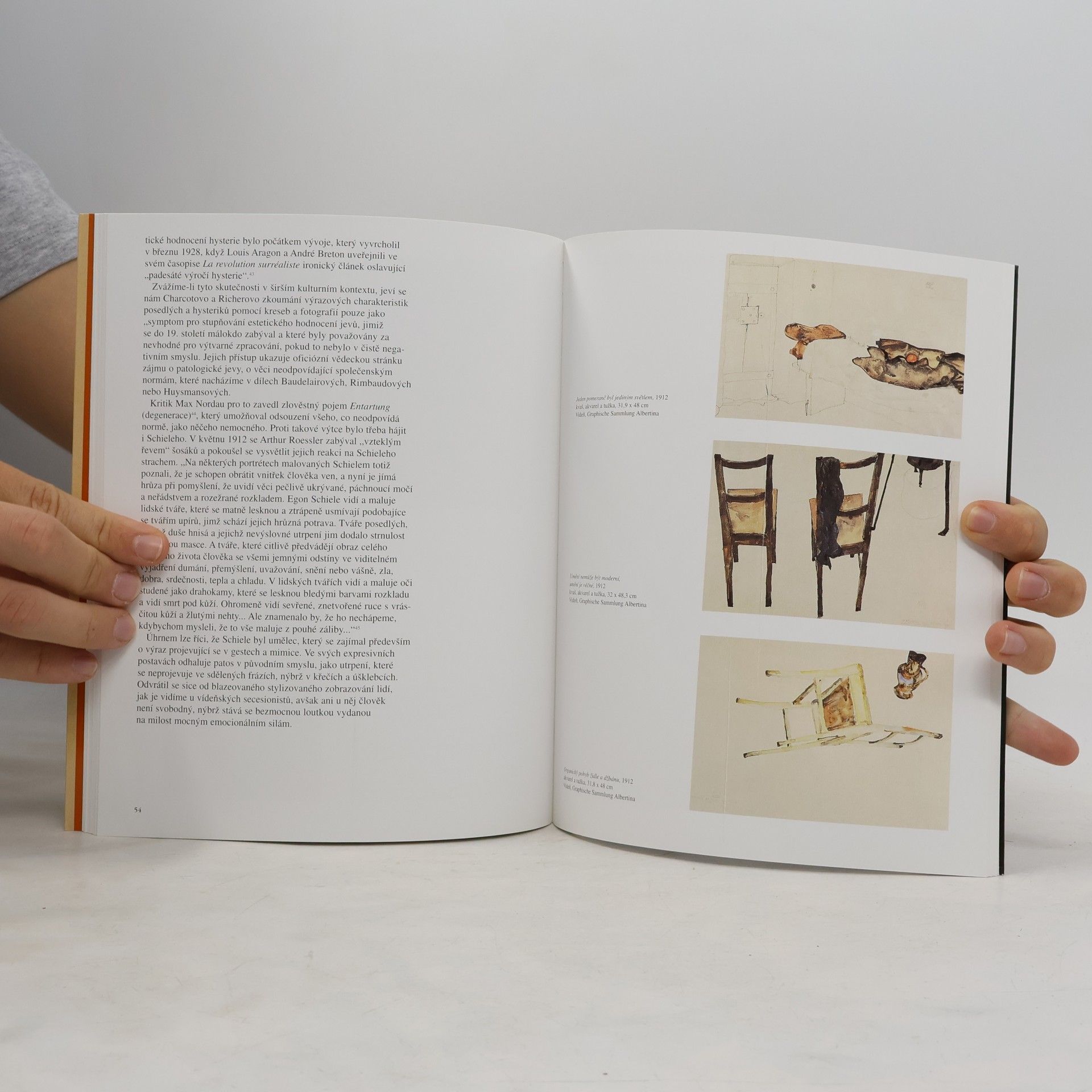 Reinhard Steiner Egon Schiele : 1890 - 1918 : umělcova půlnoční duše