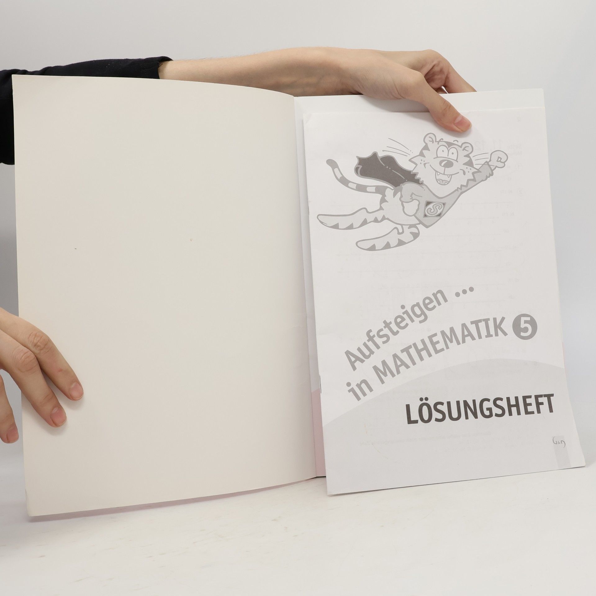 Günther Wagner Aufsteigen in Mathematik 5 (Zentralmatura)