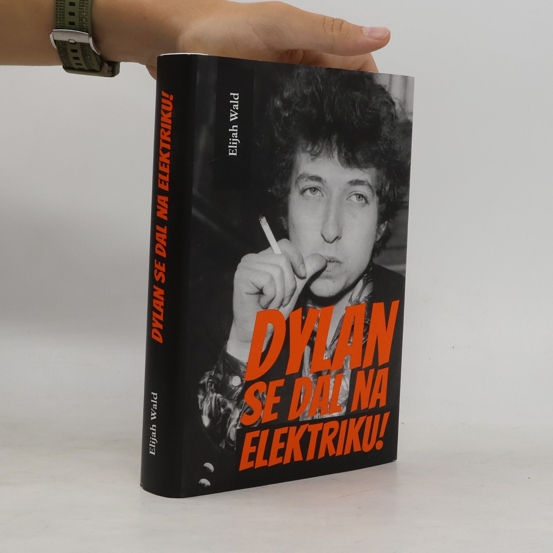 Elijah Wald Dylan se dal na elektriku!