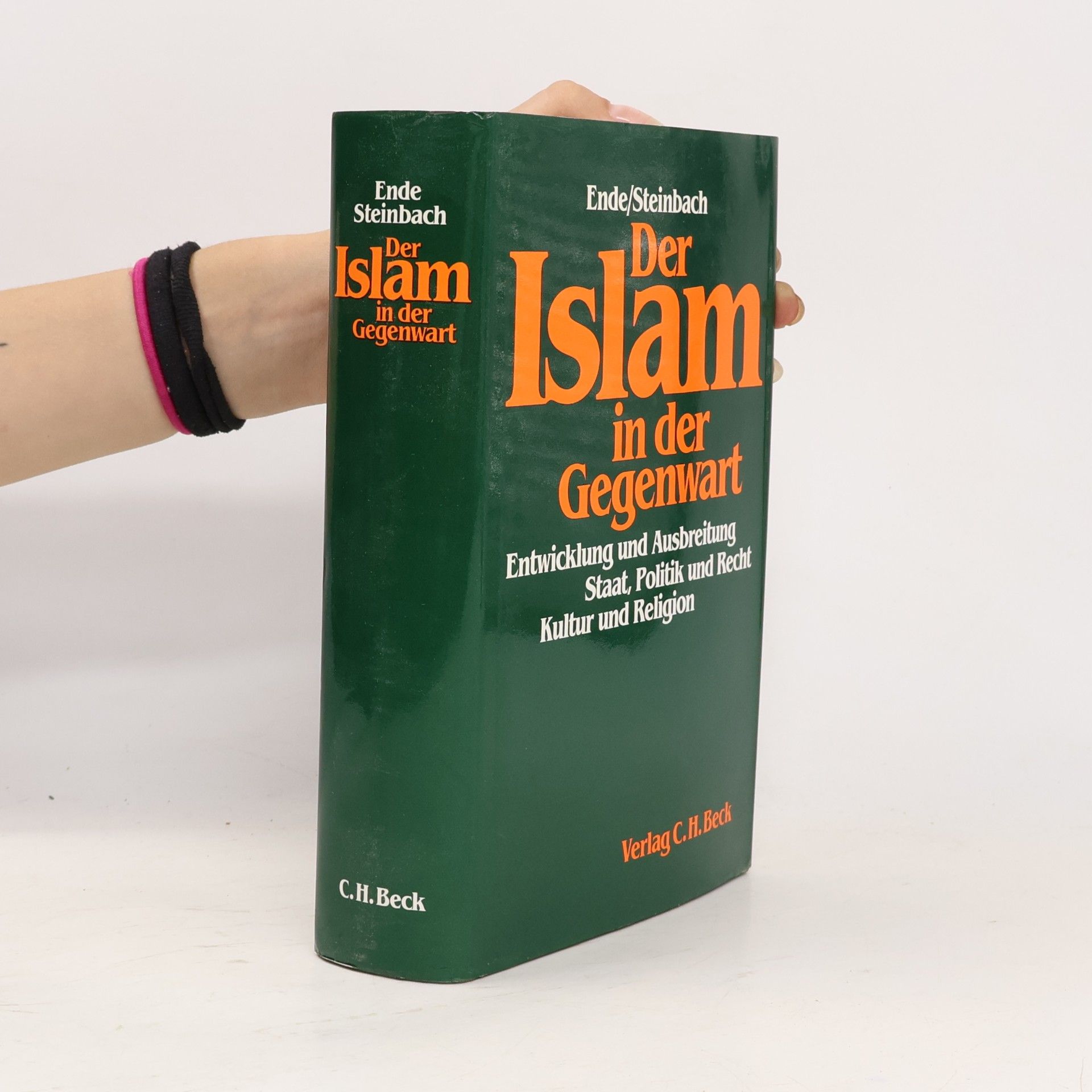 Werner Ende Der Islam in der Gegenwart