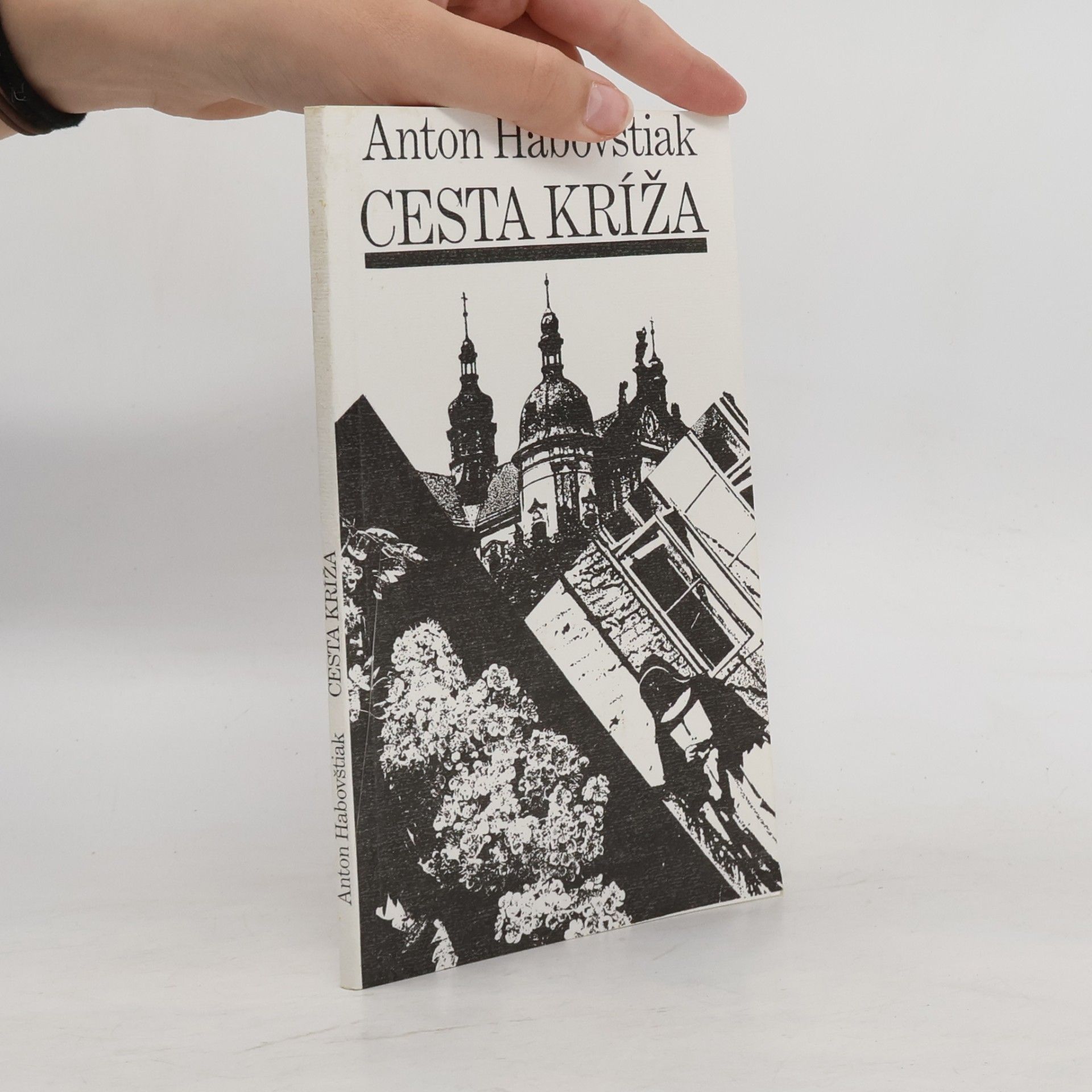 Anton Habovštiak Cesta kríža