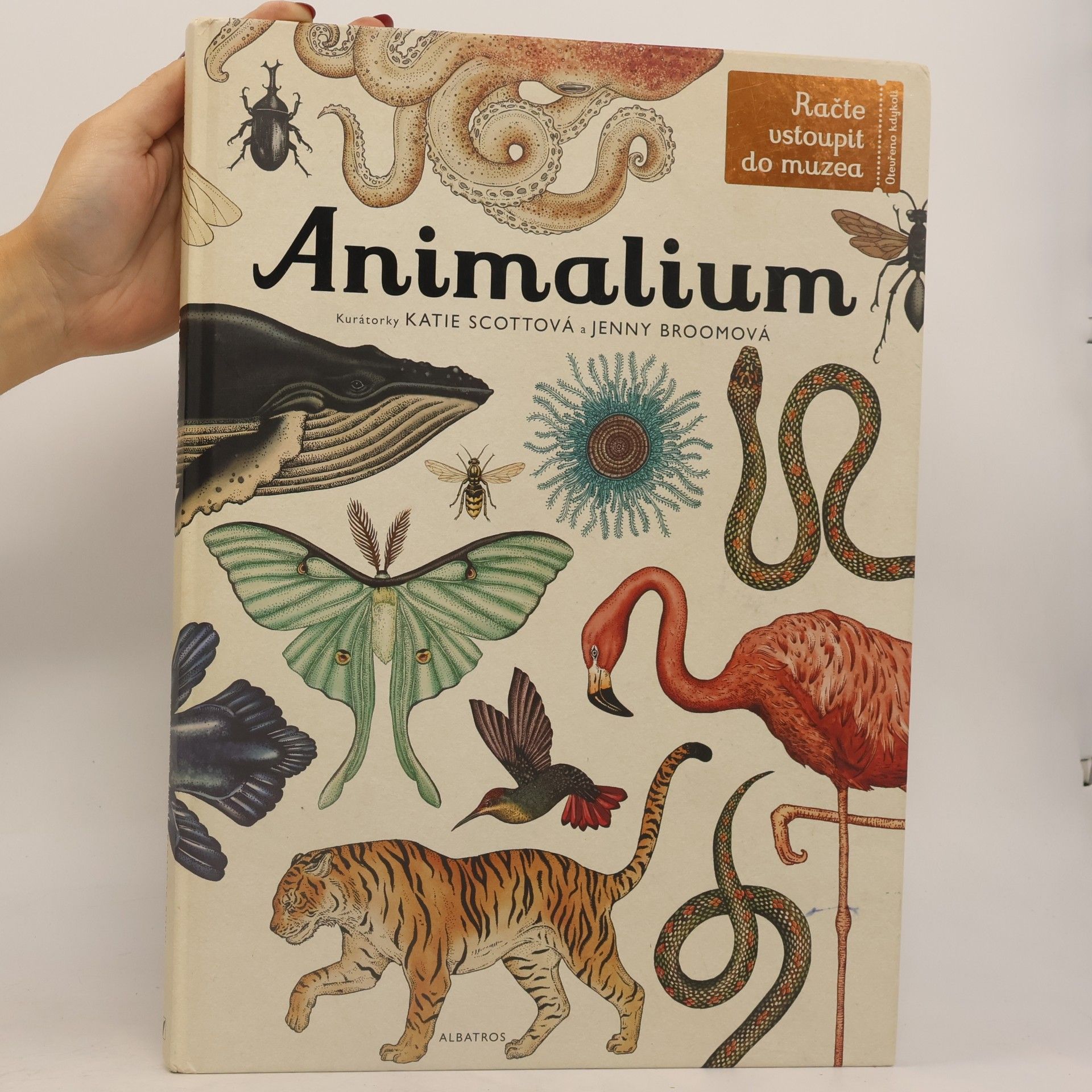 Jenny Broom Animalium