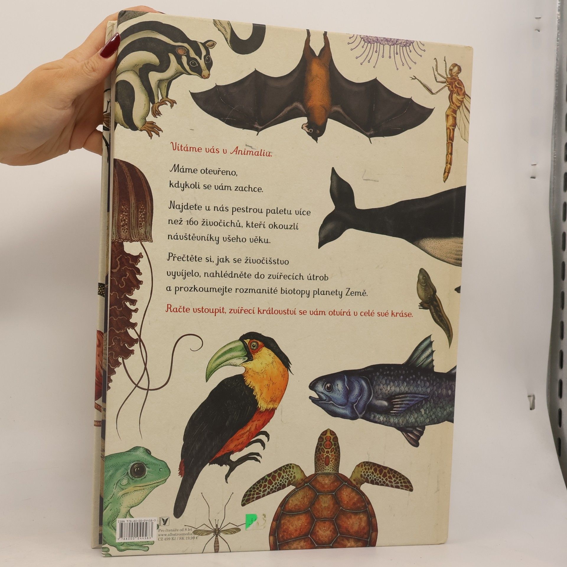 Katie Scott Animalium