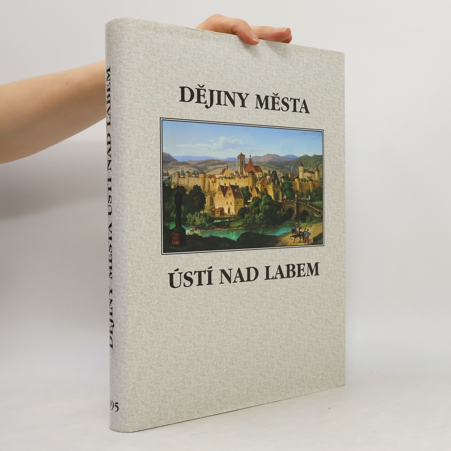 Autorenkollektiv Dějiny města Ústí nad Labem