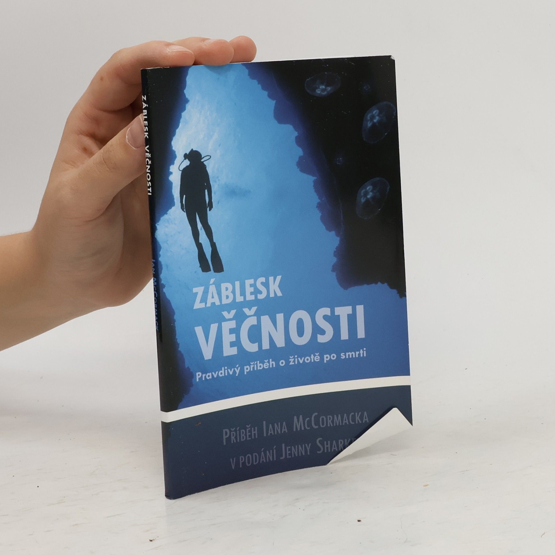 Jenny Sharkey Záblesk věčnosti. Pravdivý příběh o životě po smrti