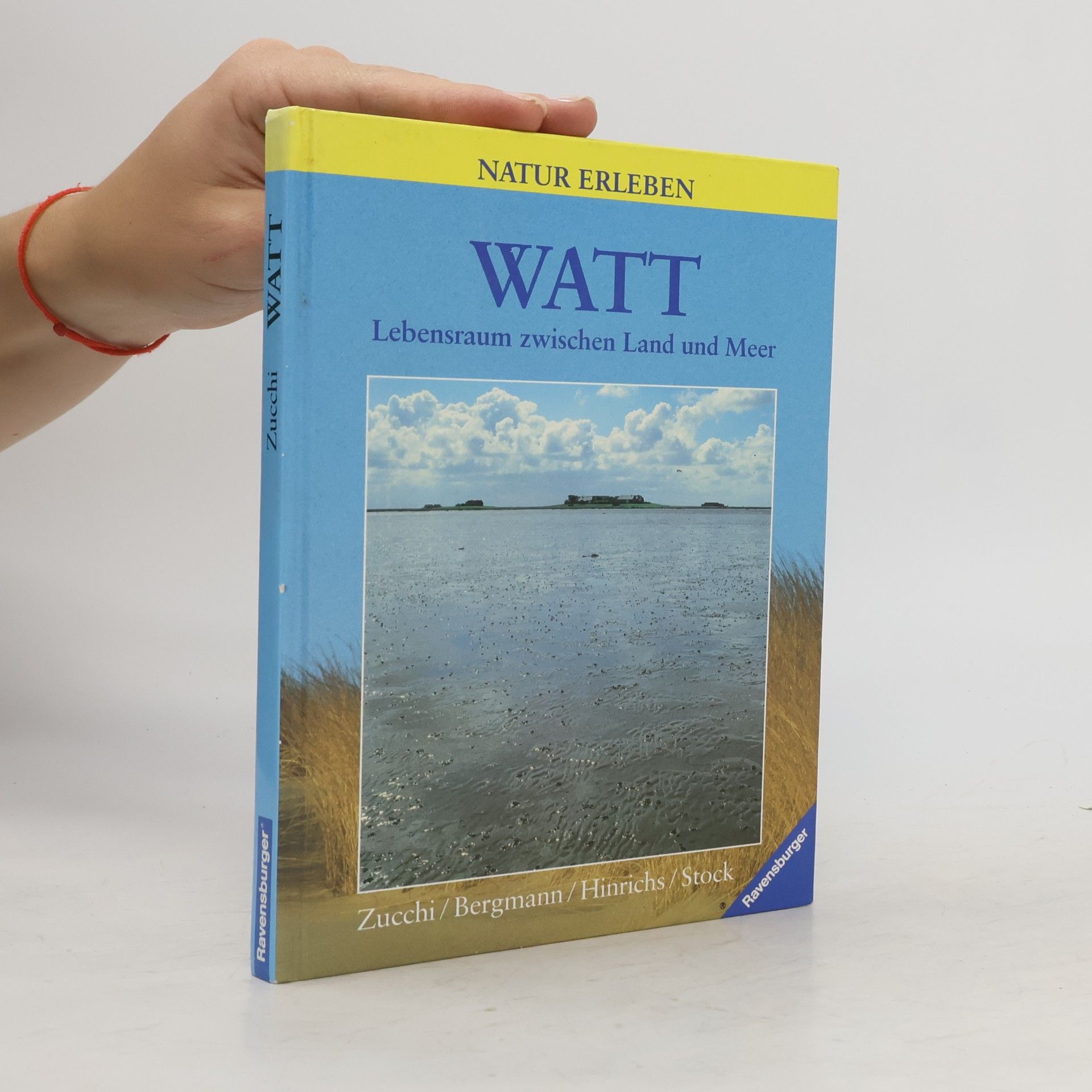 Stock Watt