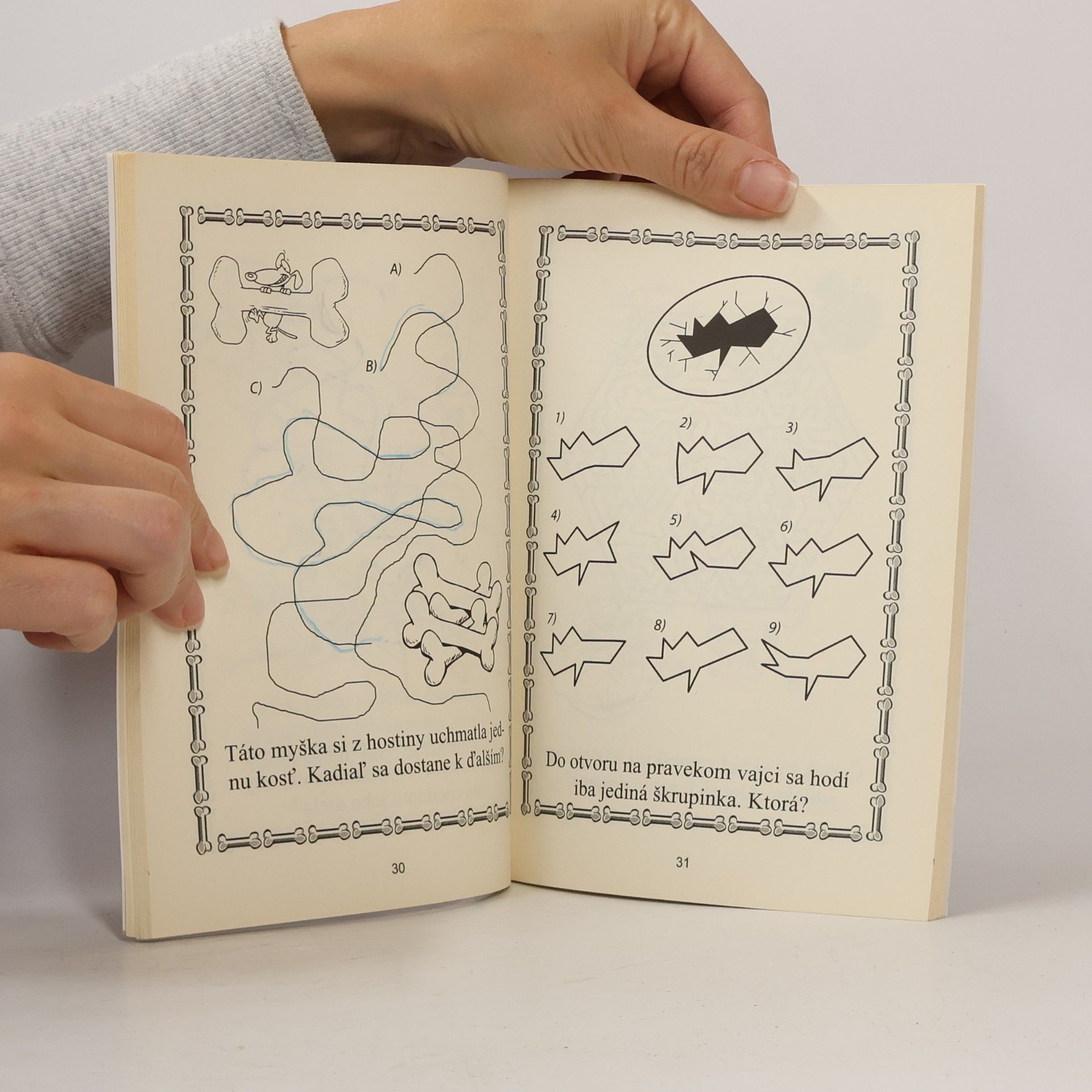 Andy Mečíř Hlavolamy malého dinosaura