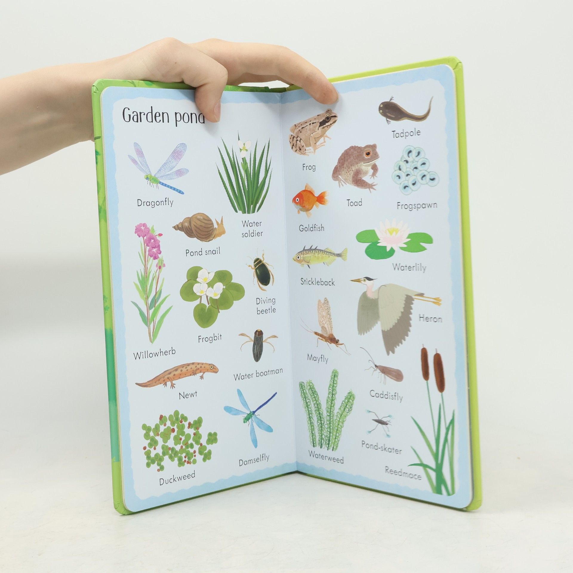 Hannah Watson 199 Things in the Garden