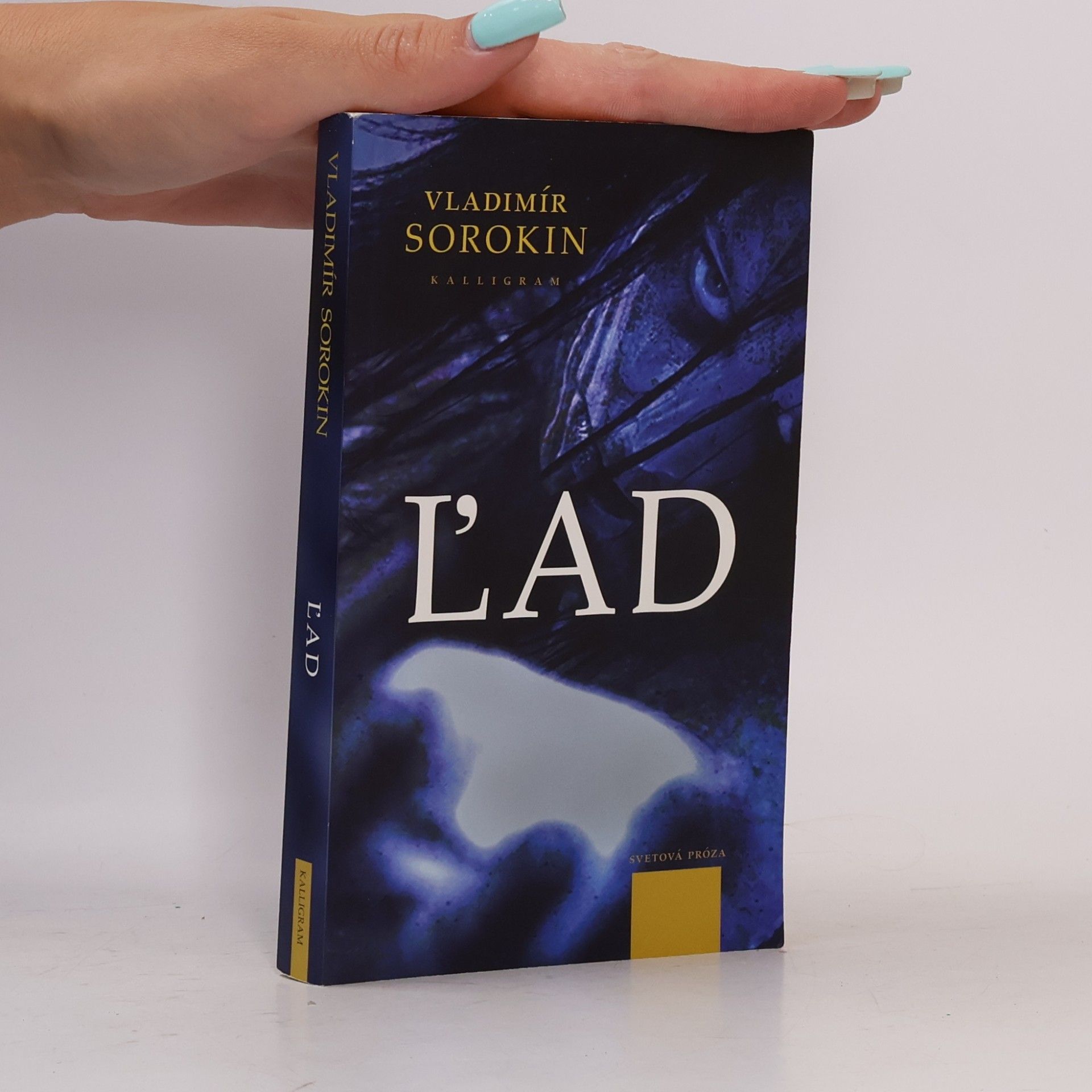 Vladimir Georgijevič Sorokin Ľad
