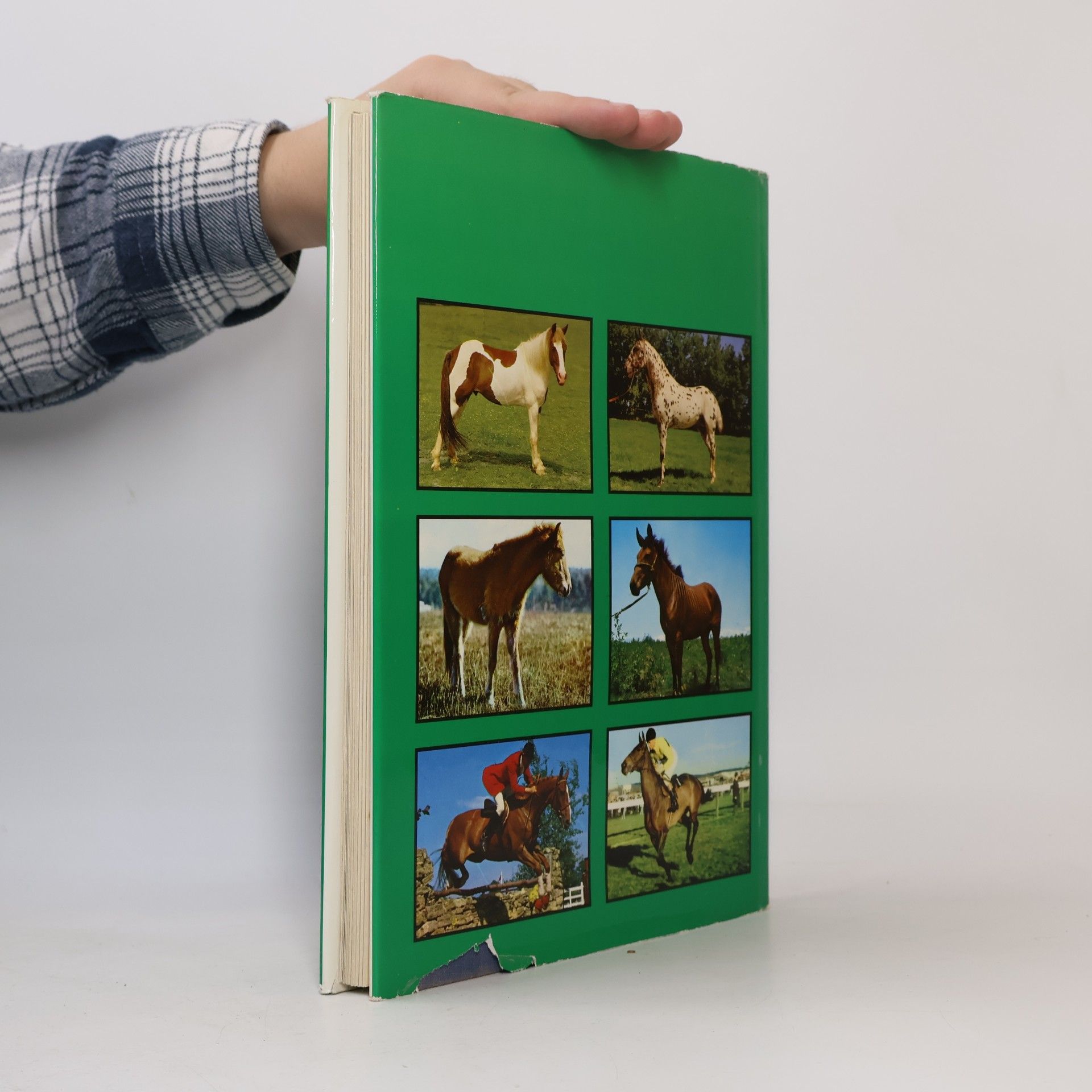 Book of the Horse