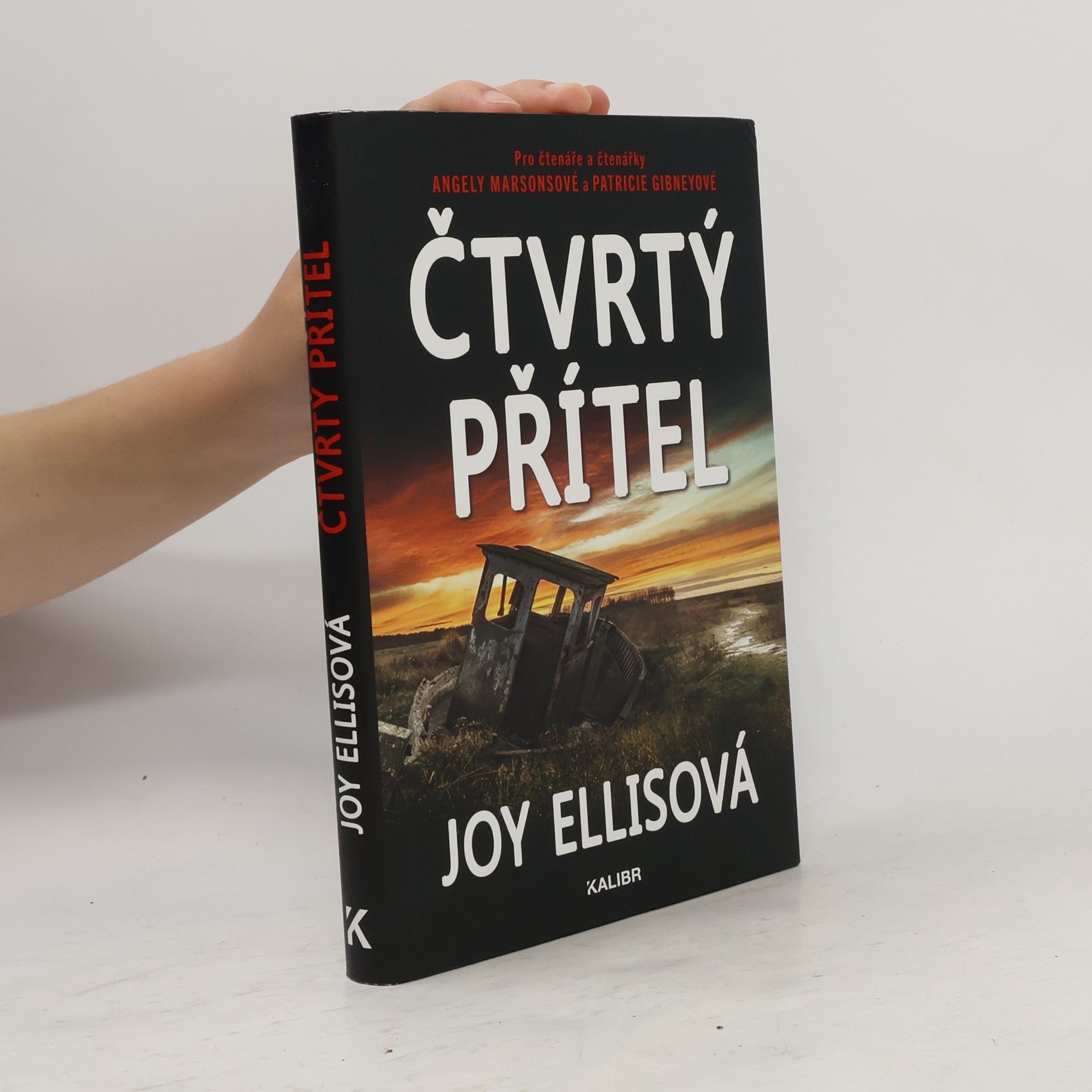 Joy Ellis Čtvrtý přítel