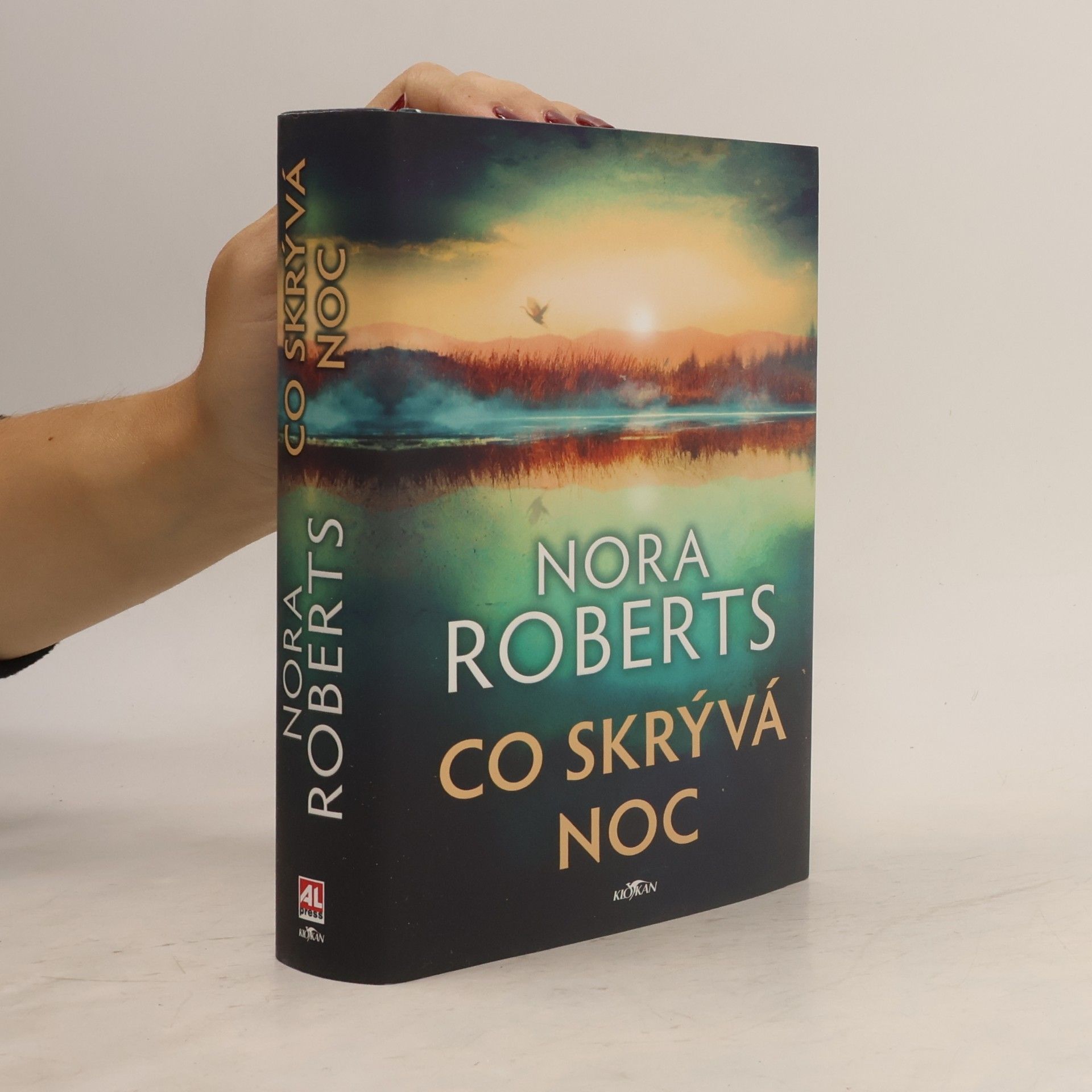Nora Roberts Co skrývá noc
