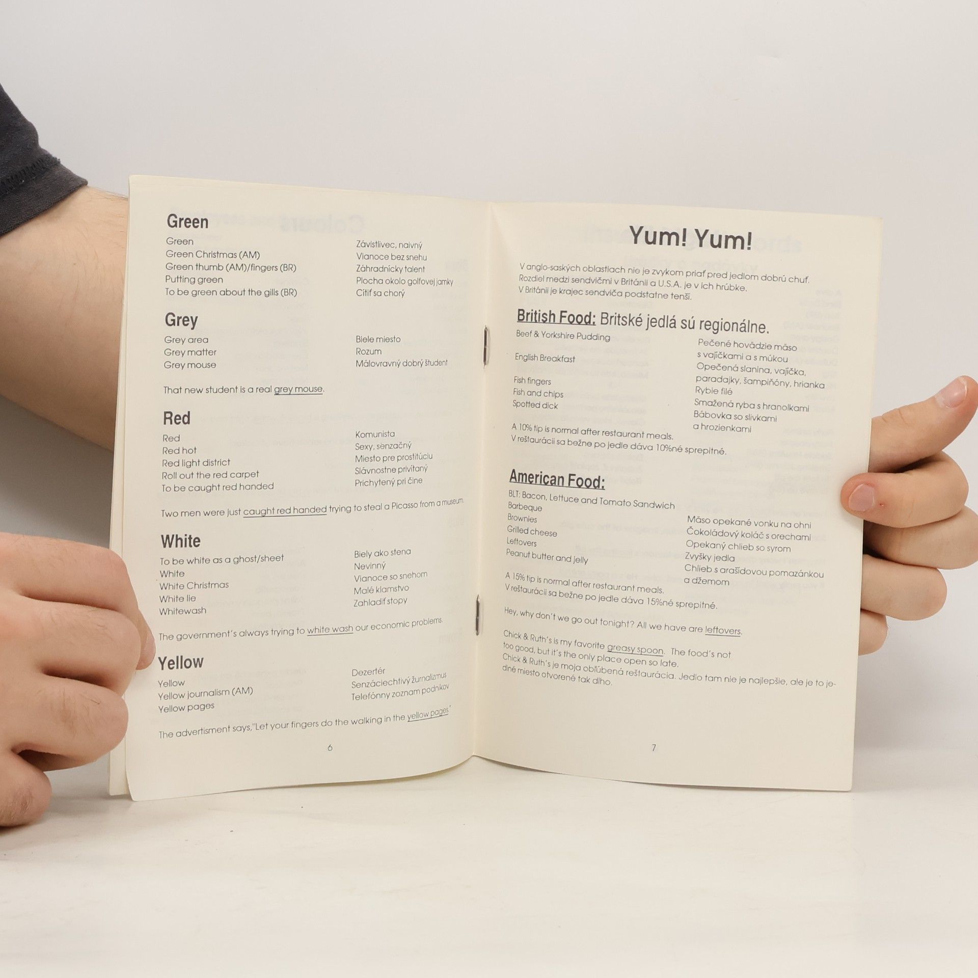 Michael Morris 250 Phrases You Won't Find in Any Dictionary