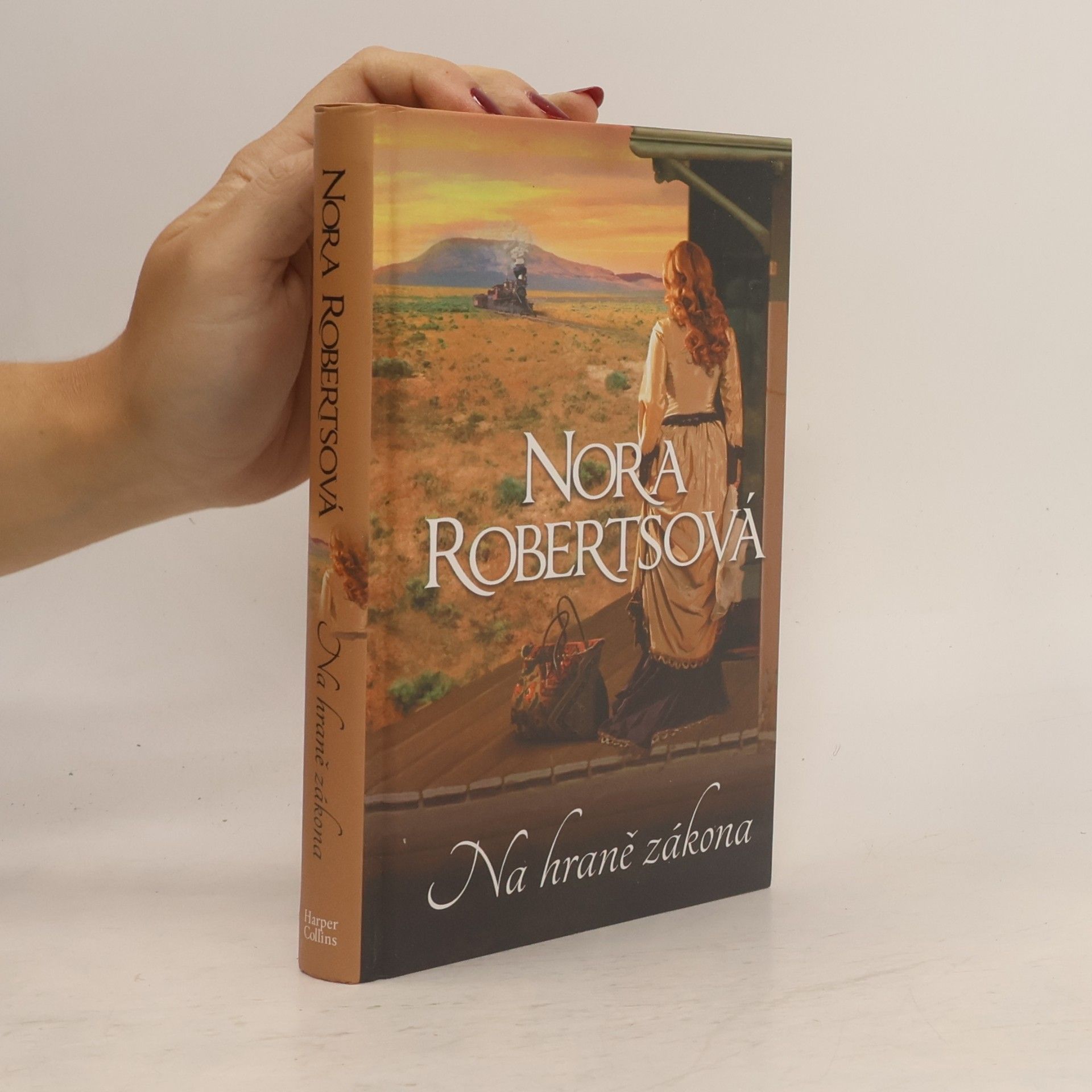 Nora Roberts Na hraně zákona