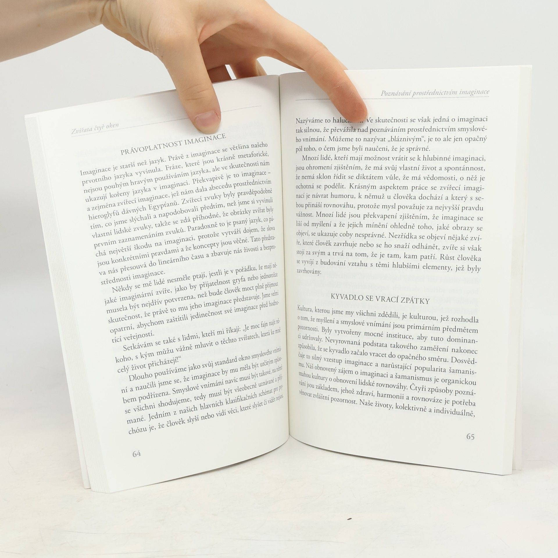 Eligio Stephen Gallegos Zvířata čtyř oken - Integrace myšlení, smyslového vnímání, cítění a imaginace