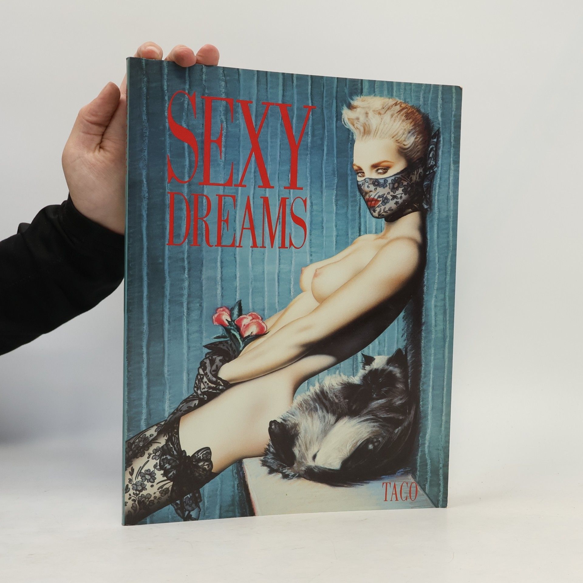 Kolektiv autorů Sexy dreams