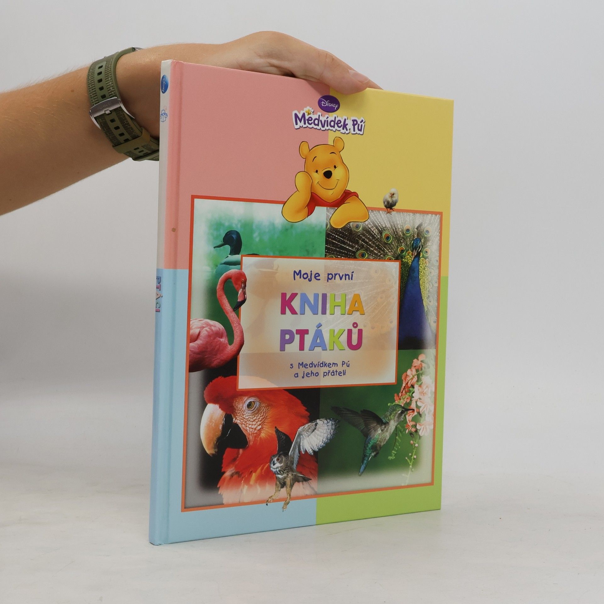 Walt Disney Moje první kniha ptáků s Medvídkem Pú a jeho přáteli