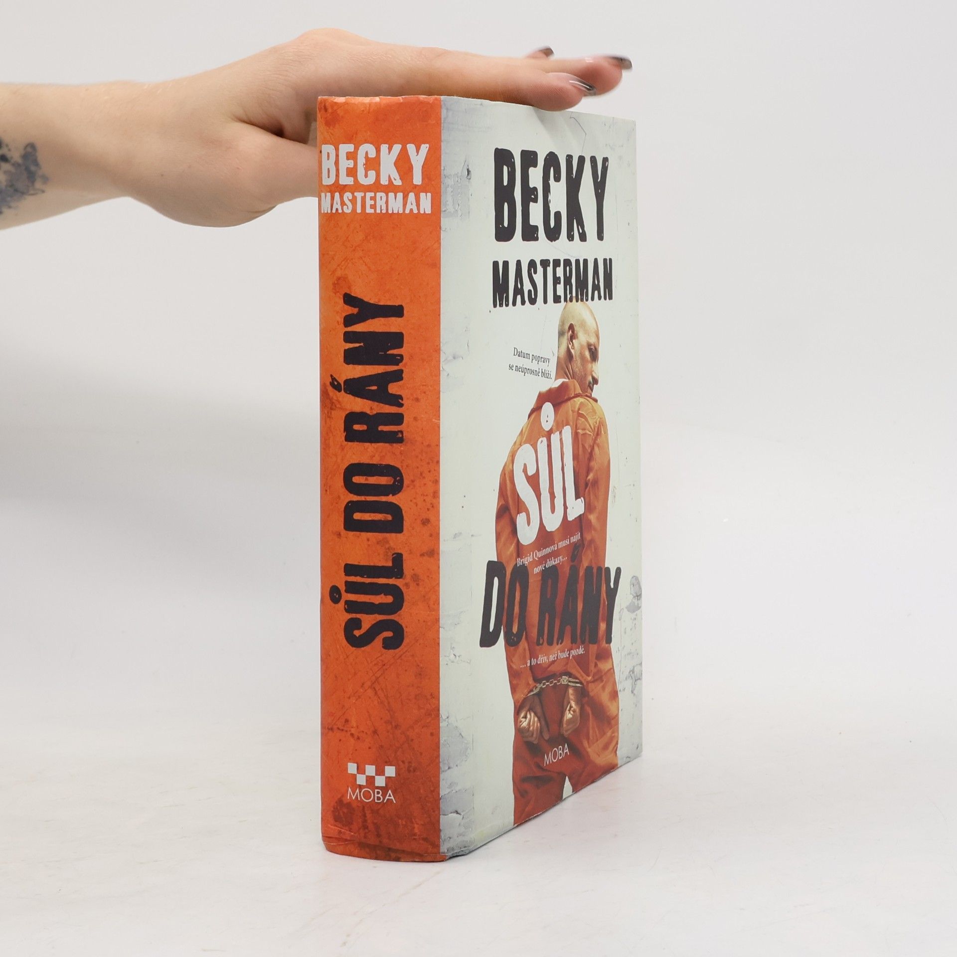 Becky Masterman Sůl do rány
