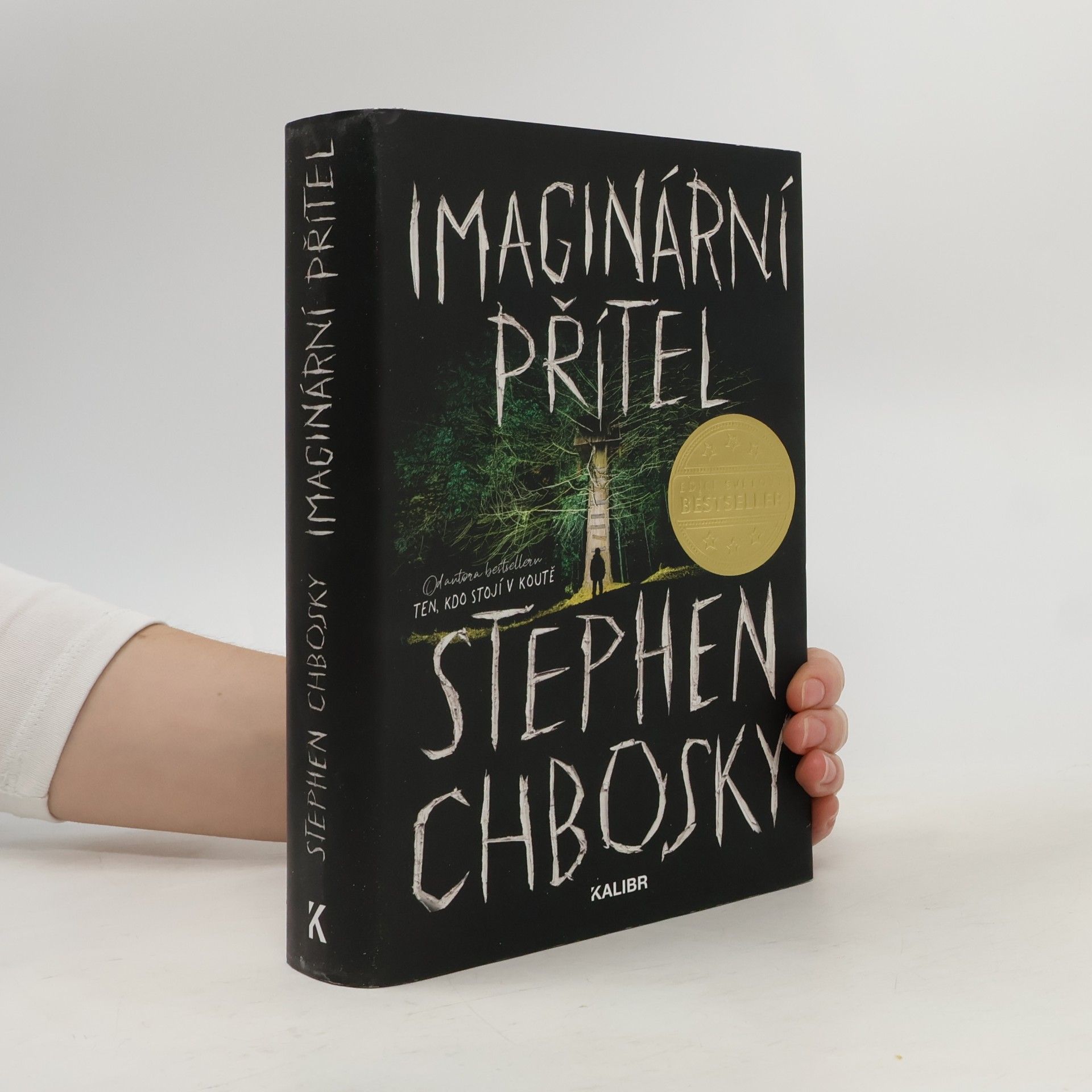 Stephen Chbosky Imaginární přítel