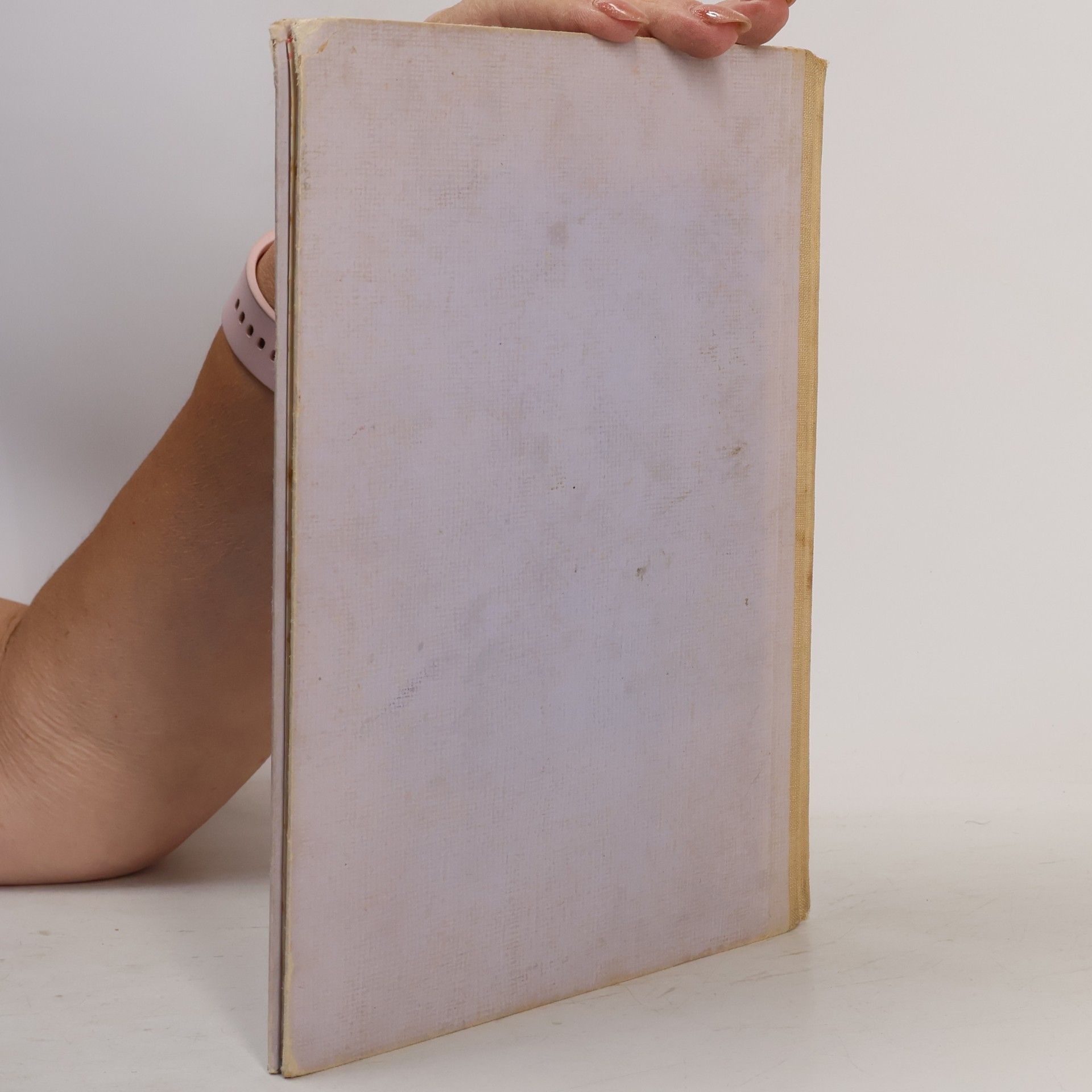 Karel Havlíček Borovský Král Lávra
