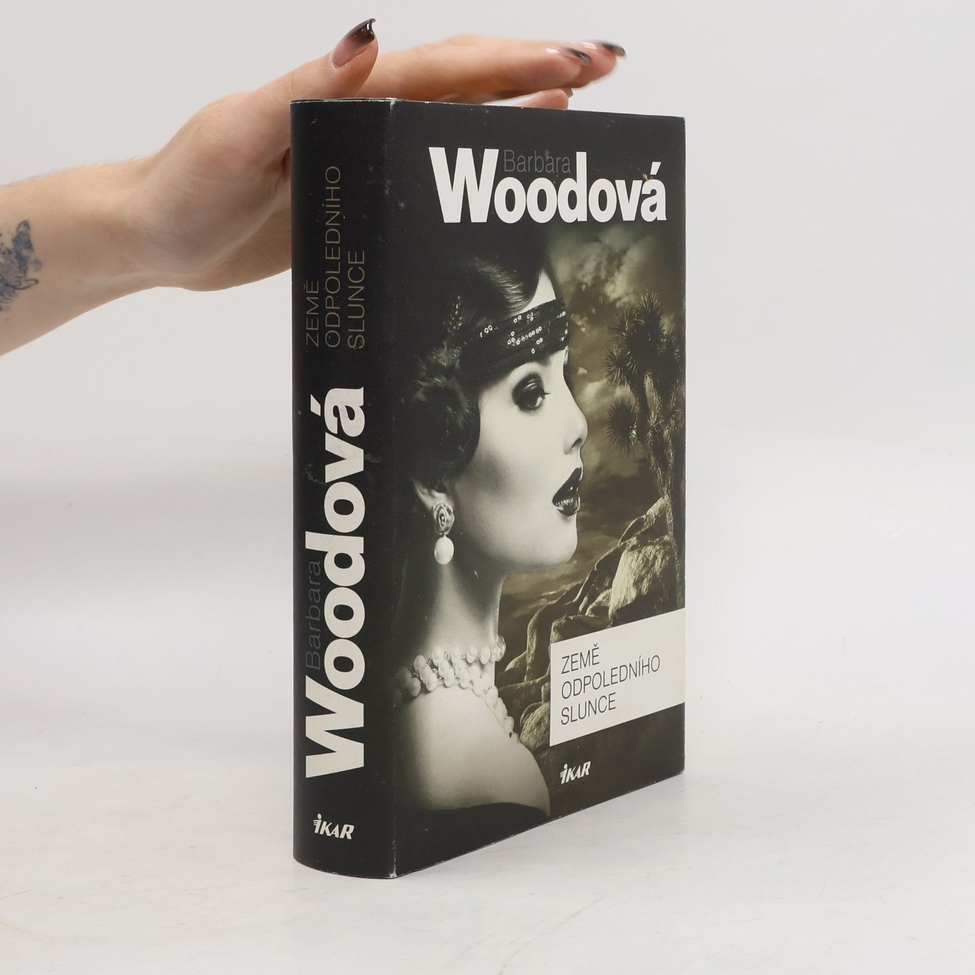 Barbara Wood Země odpoledního slunce