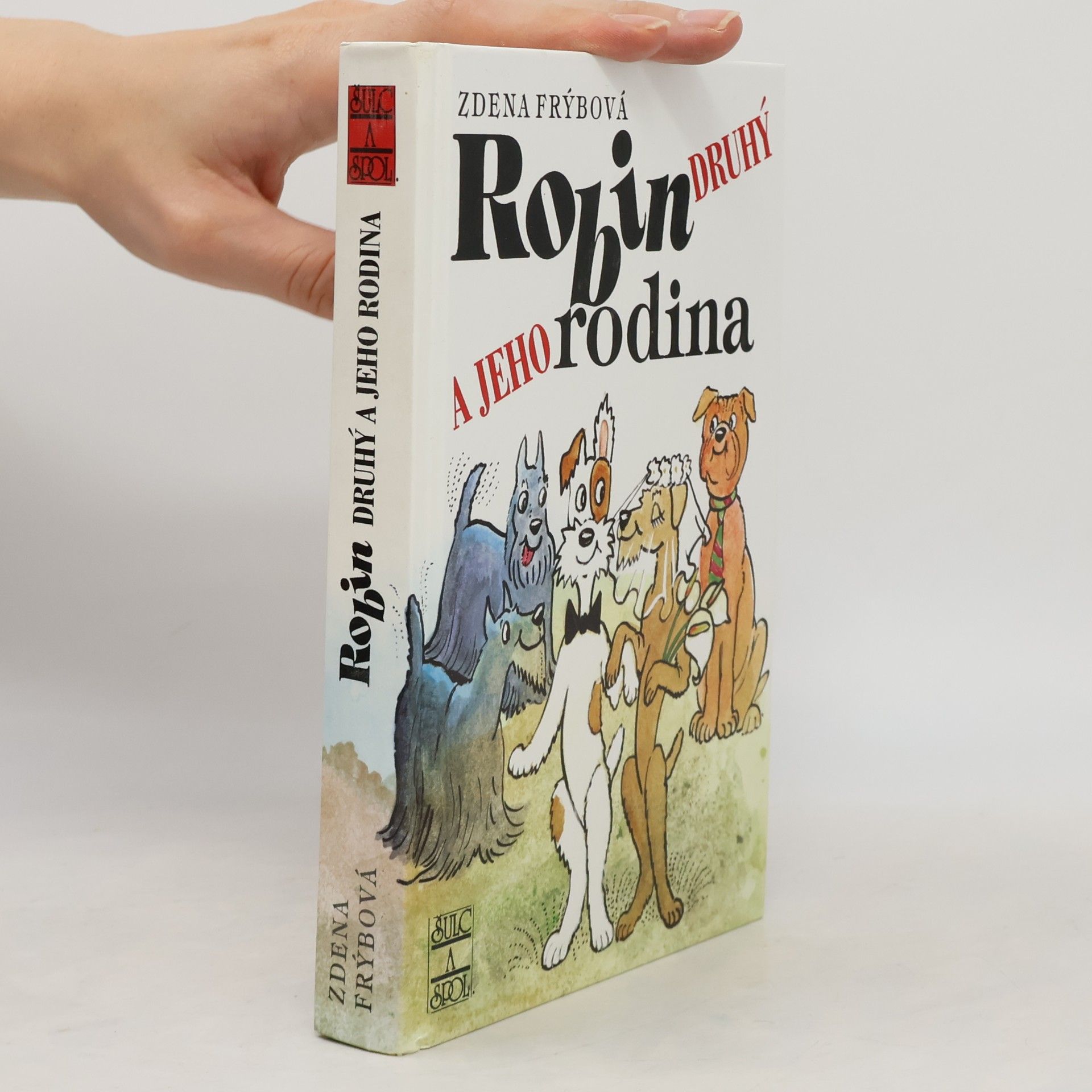 Zdena Frýbová Robin Druhý a jeho rodina
