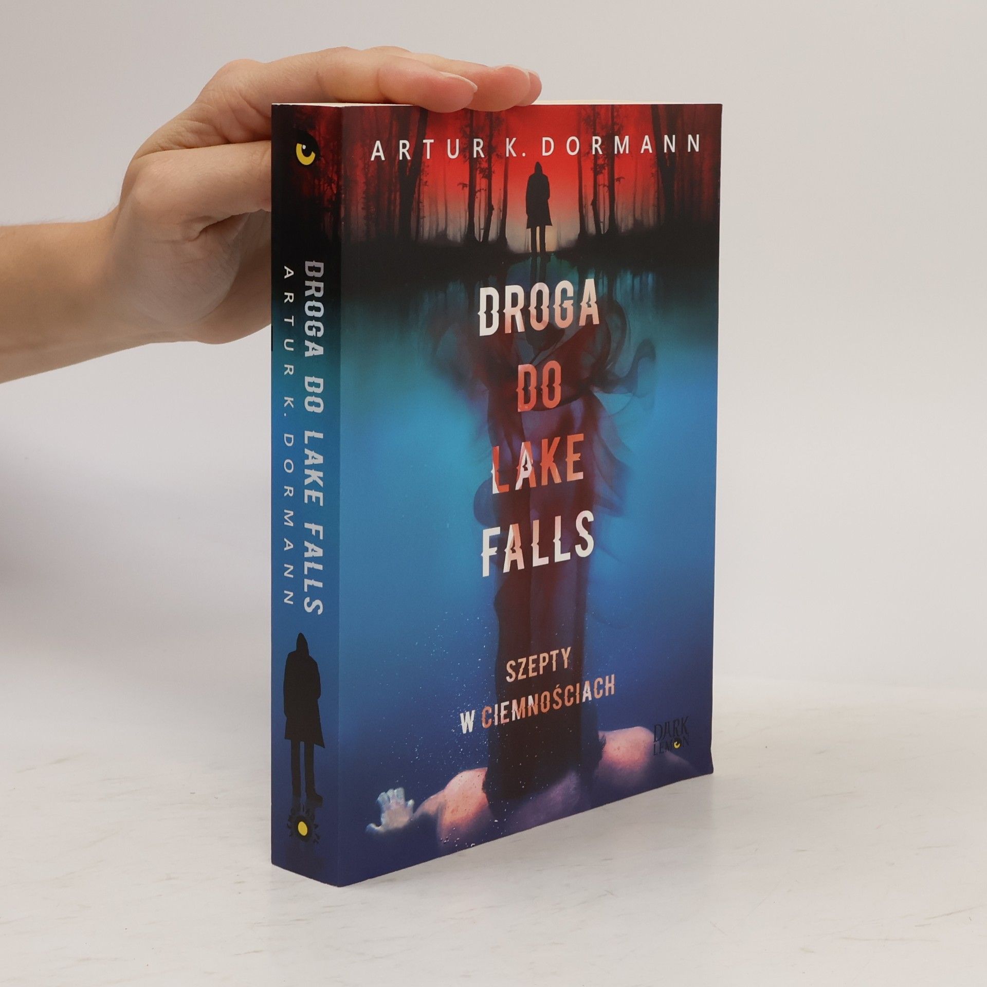 Artur K. Dormann Droga do Lake Falls Szepty w ciemnościach