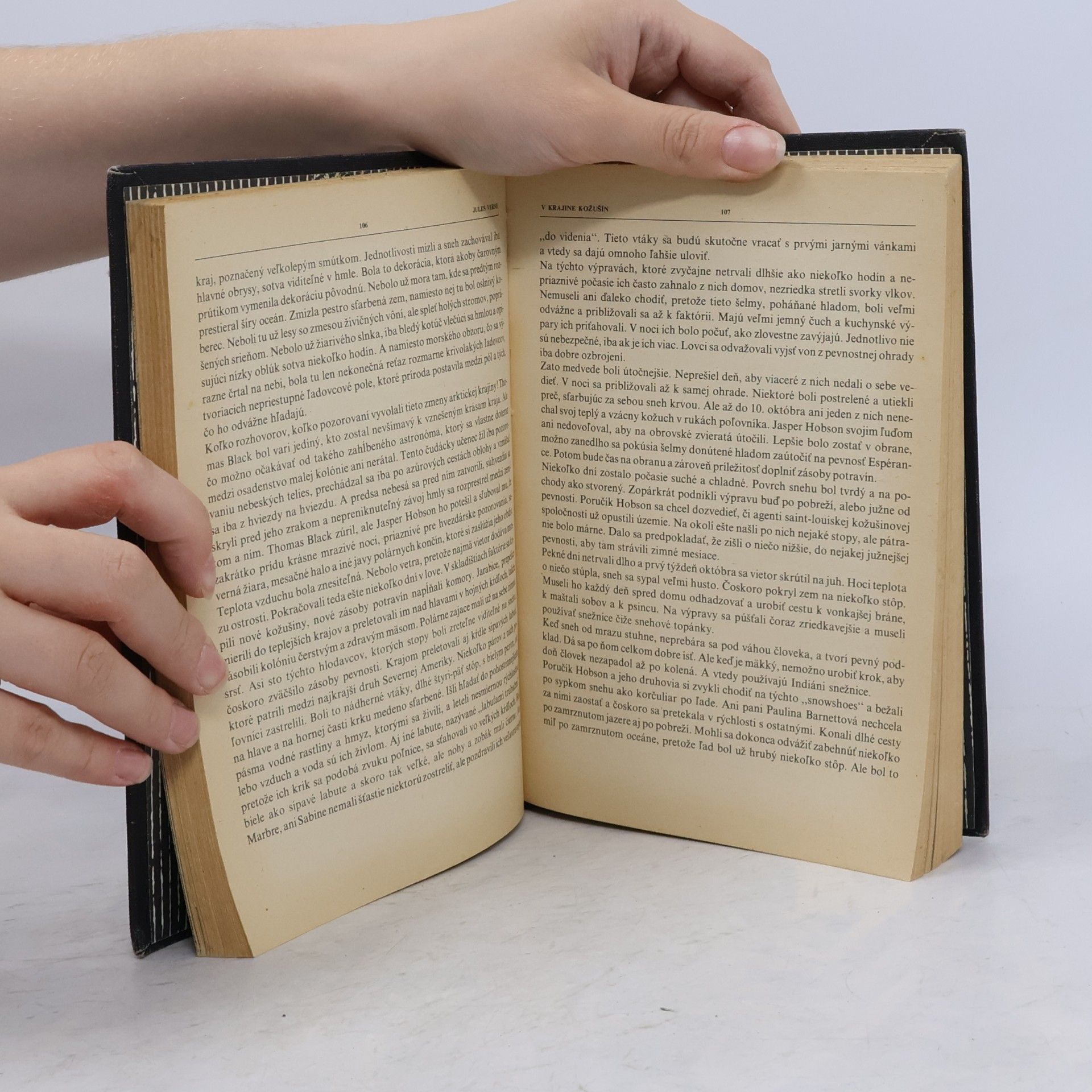 Jules Verne V krajine kožušín